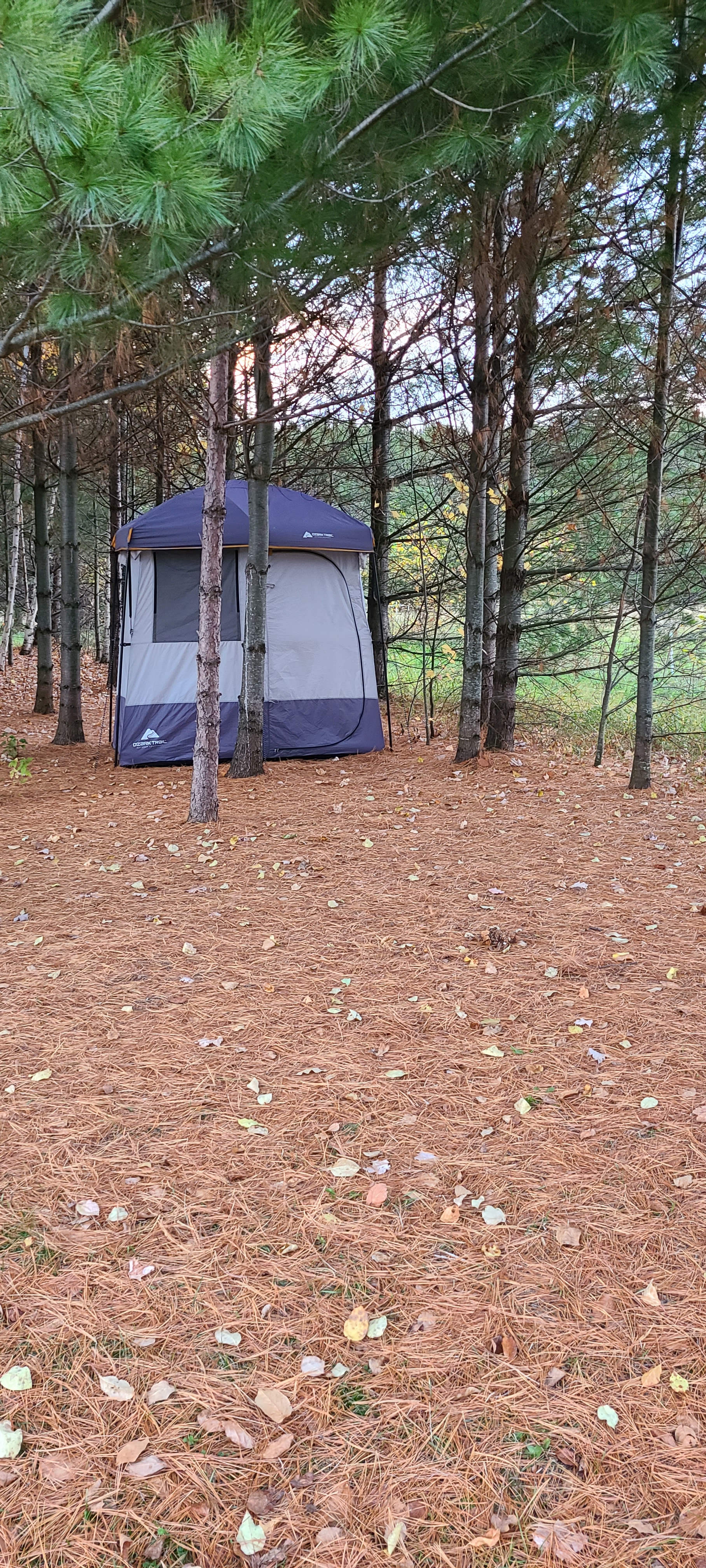 Our own bathroom tucked into the pines