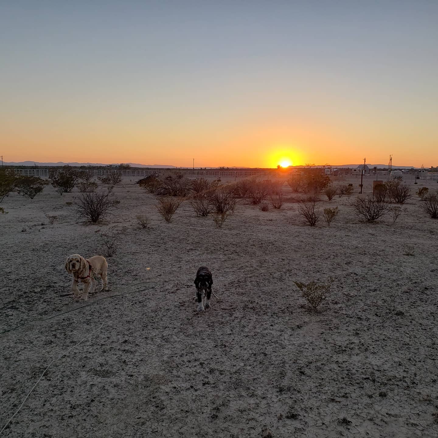 Jackass Flats Campground