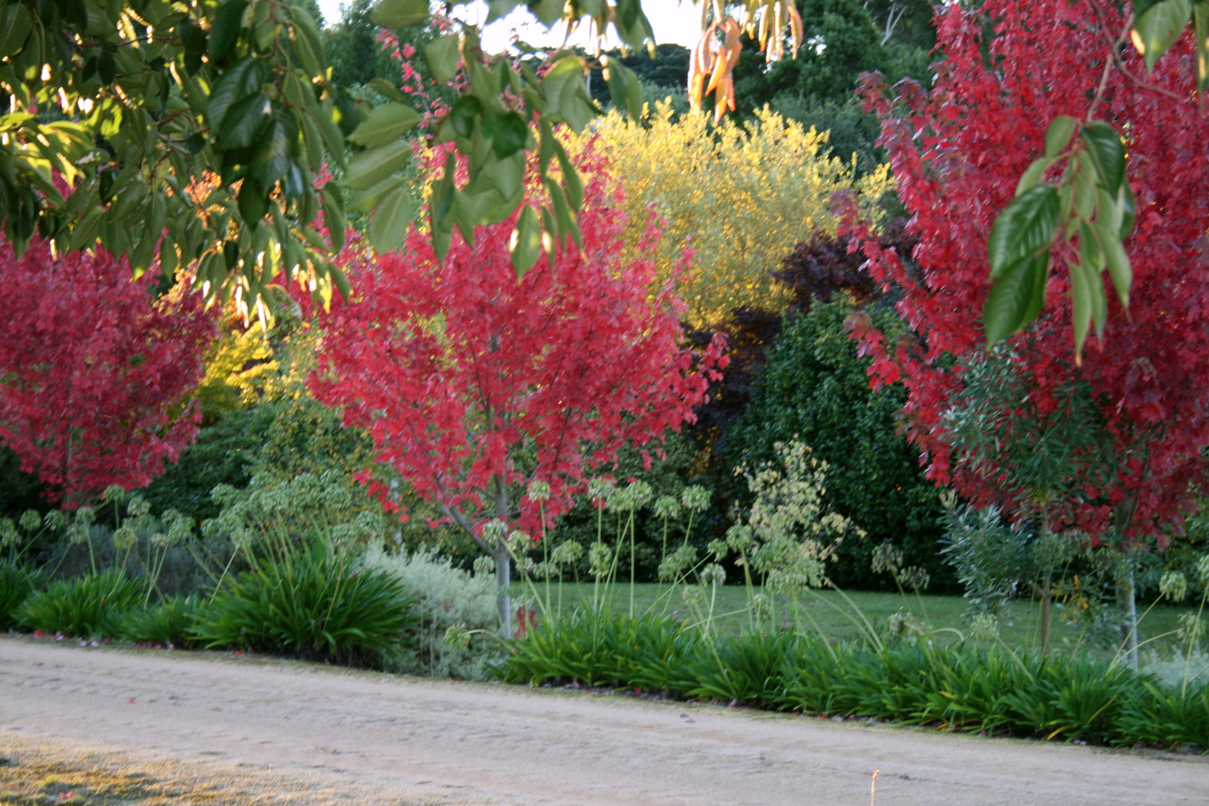 Milleara Gardens