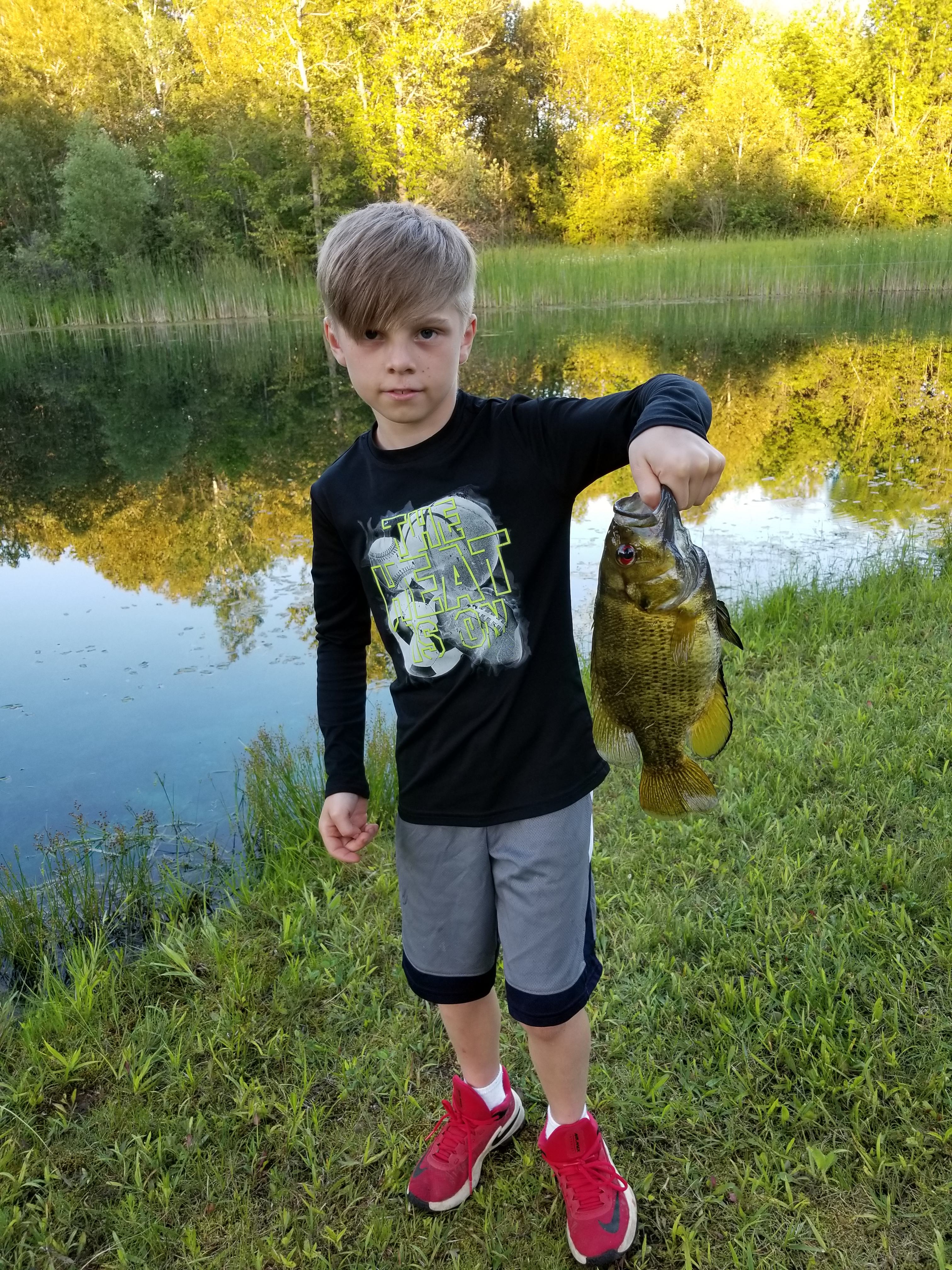 Camp Bear Paw LLC