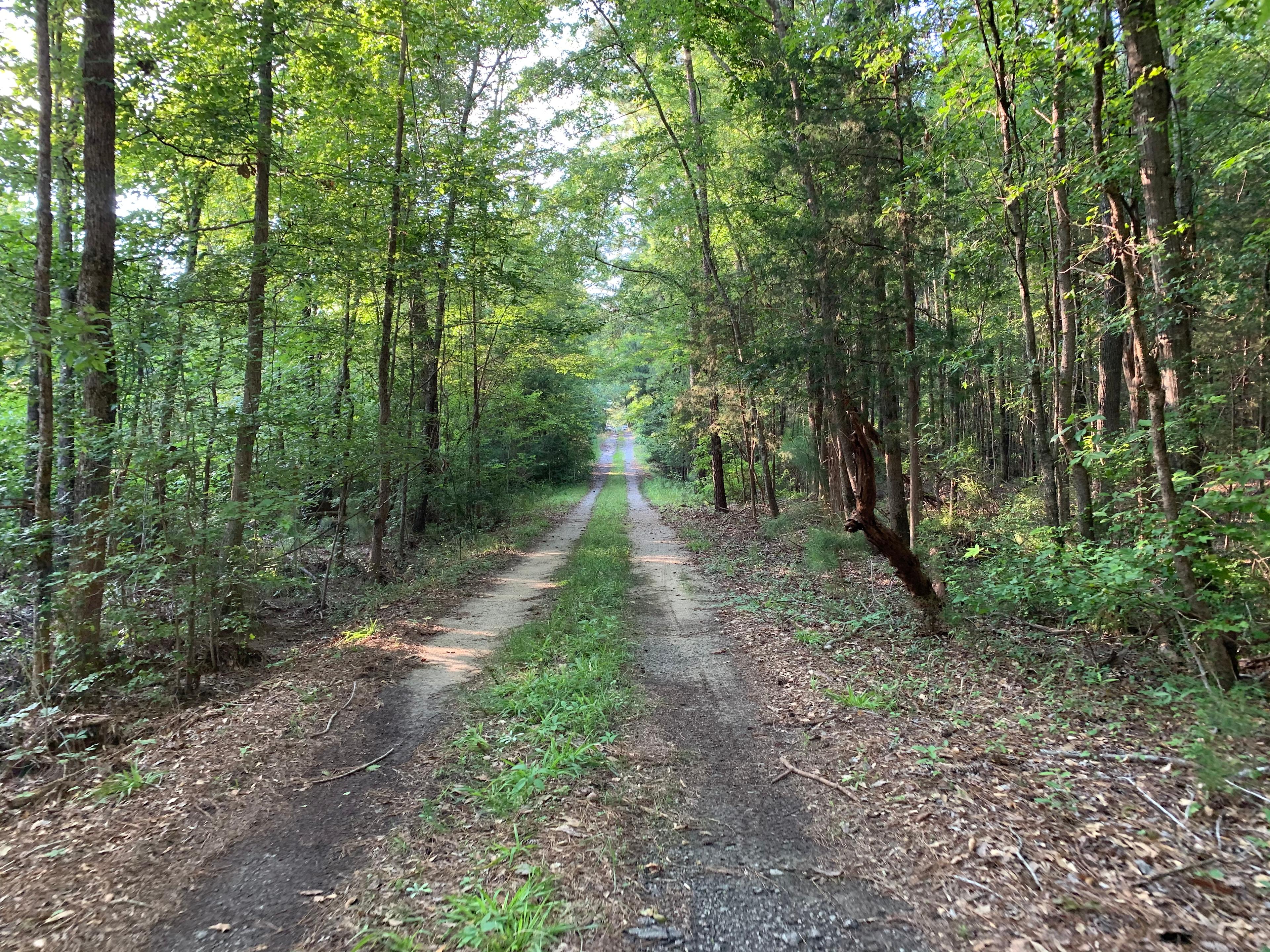 KALEIDOSCOPE FARM - Nature!