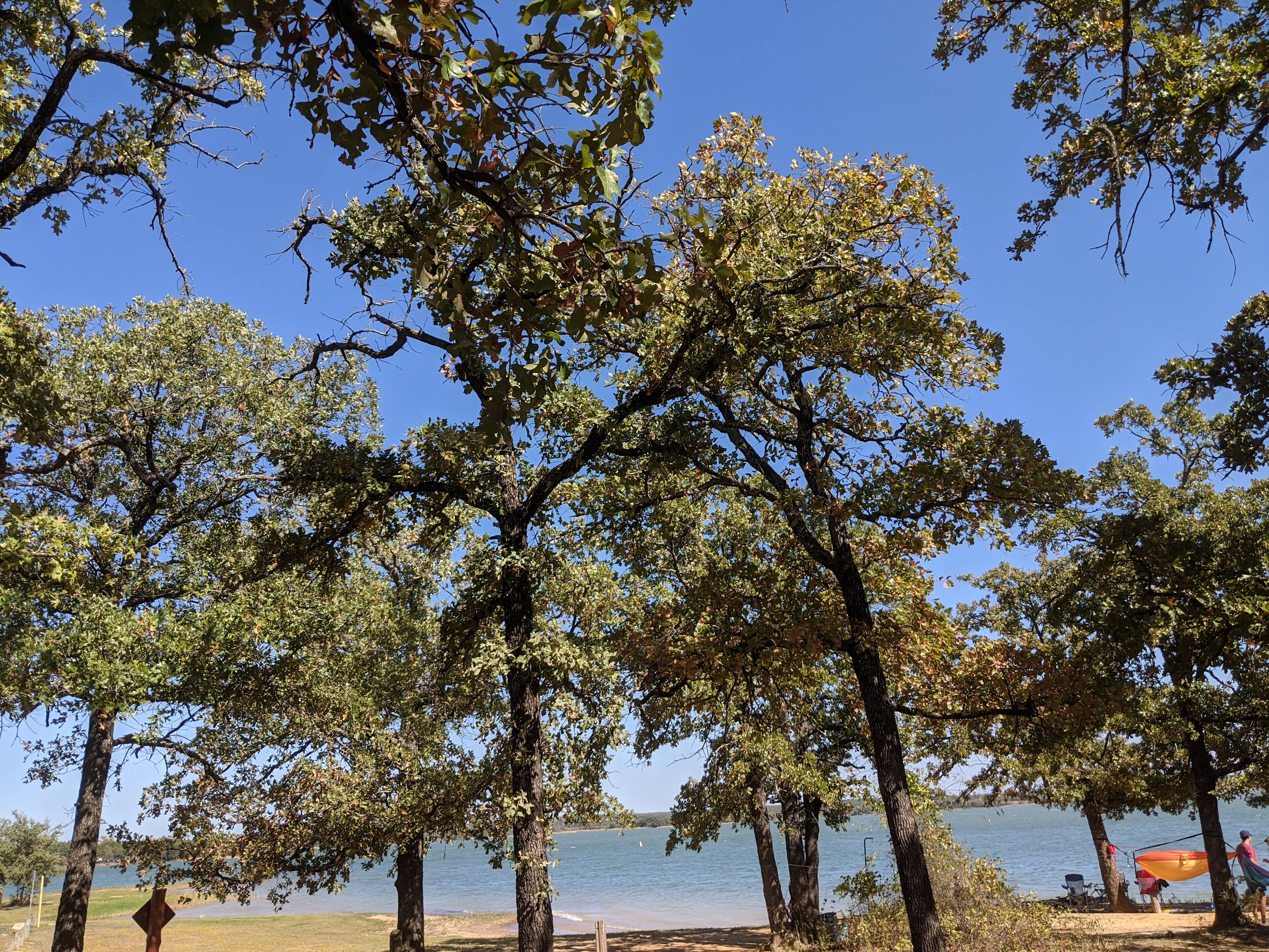 Tipps Point Campground