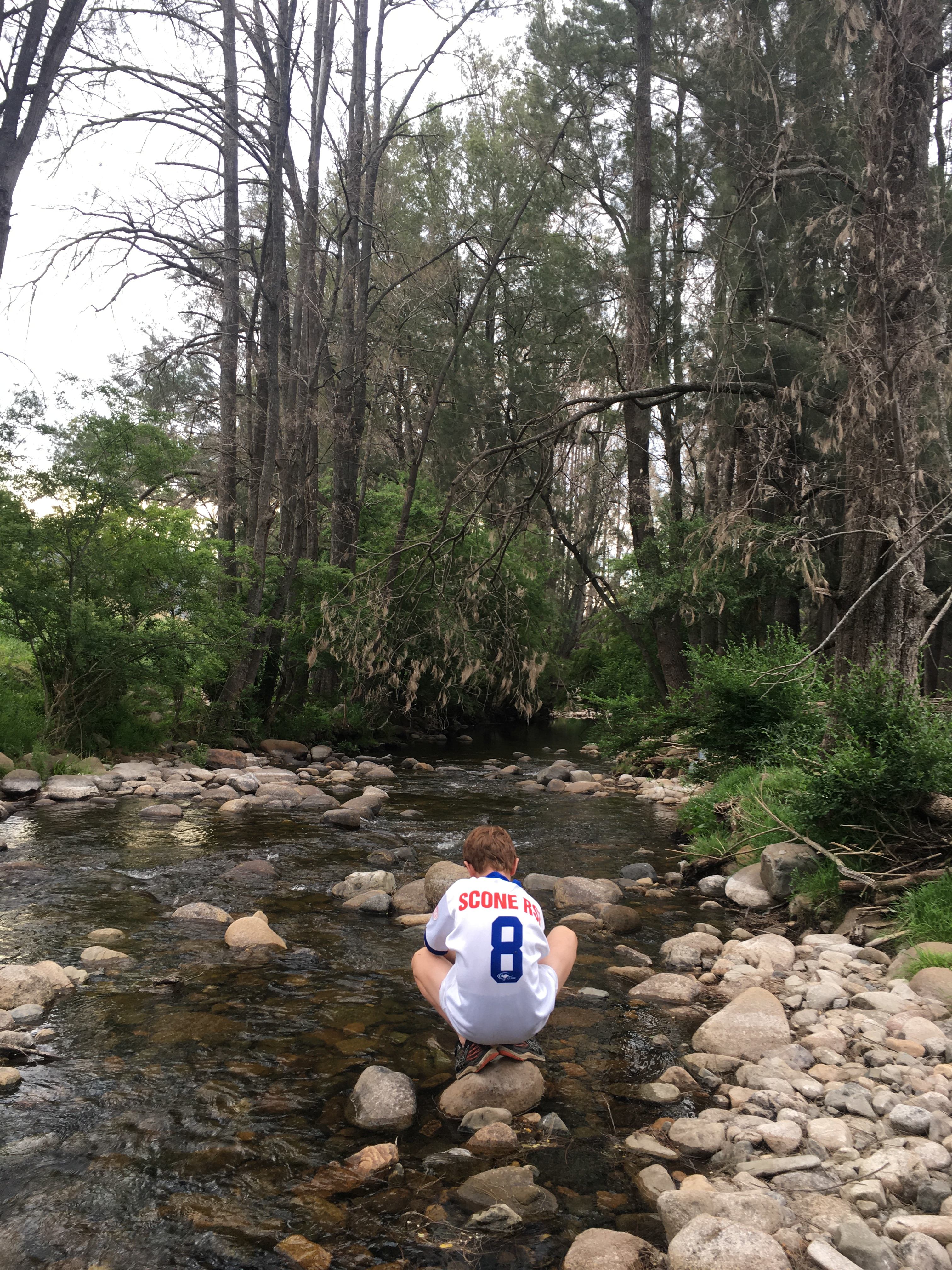 Omadale Brook, Barrington Tops