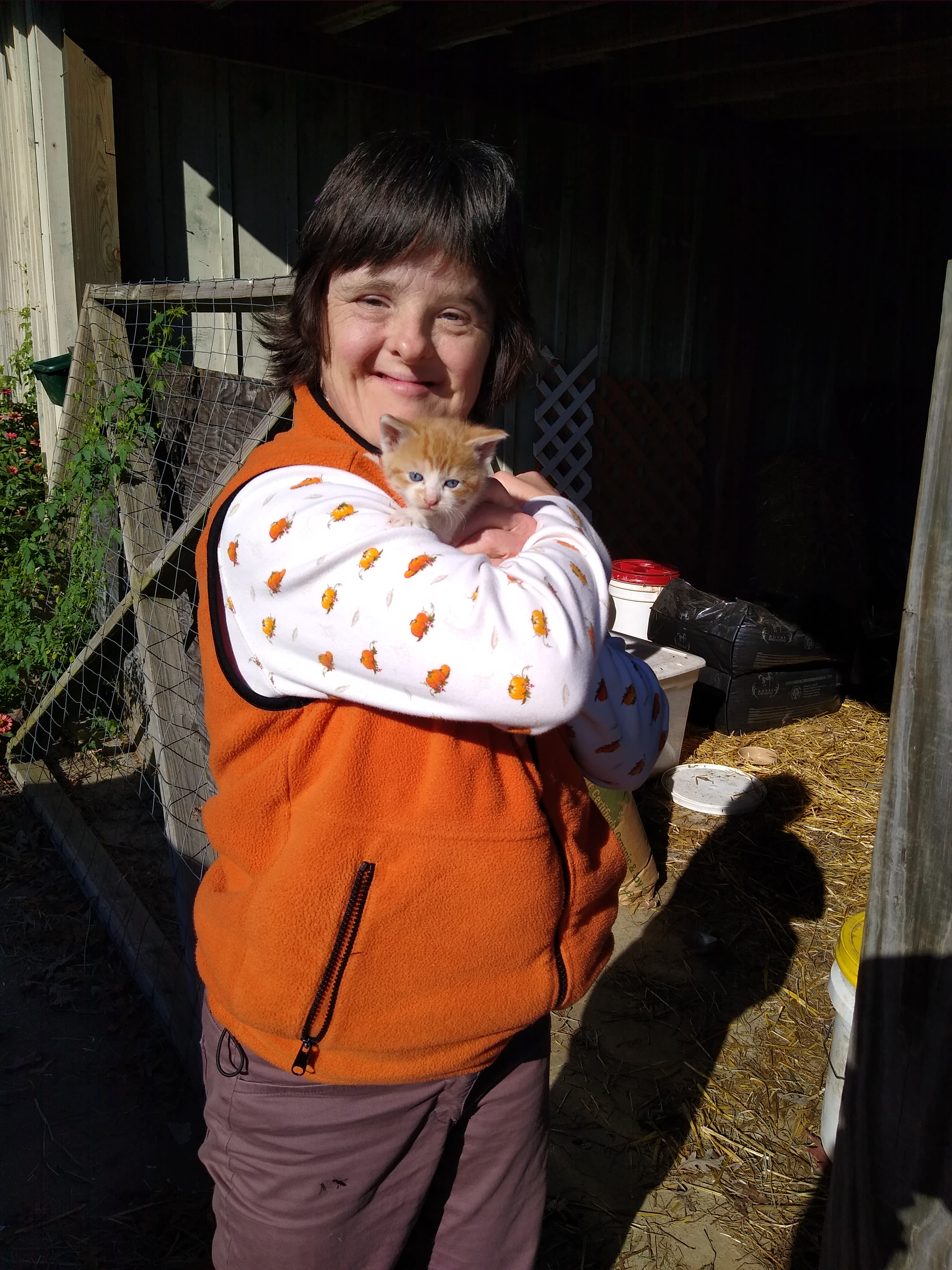 One of 5 baby kittens!