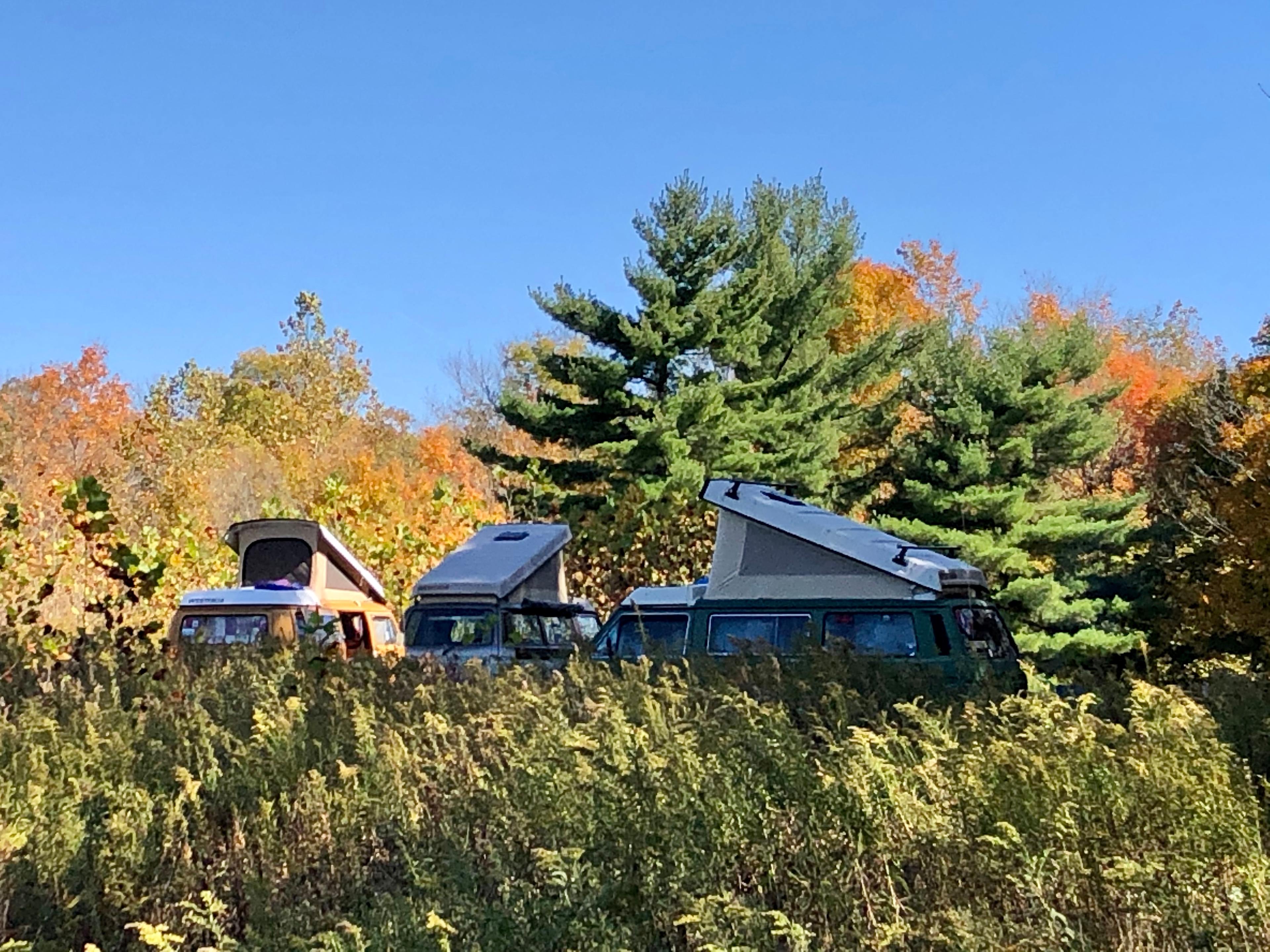 Grins & Pickin's CampFarm