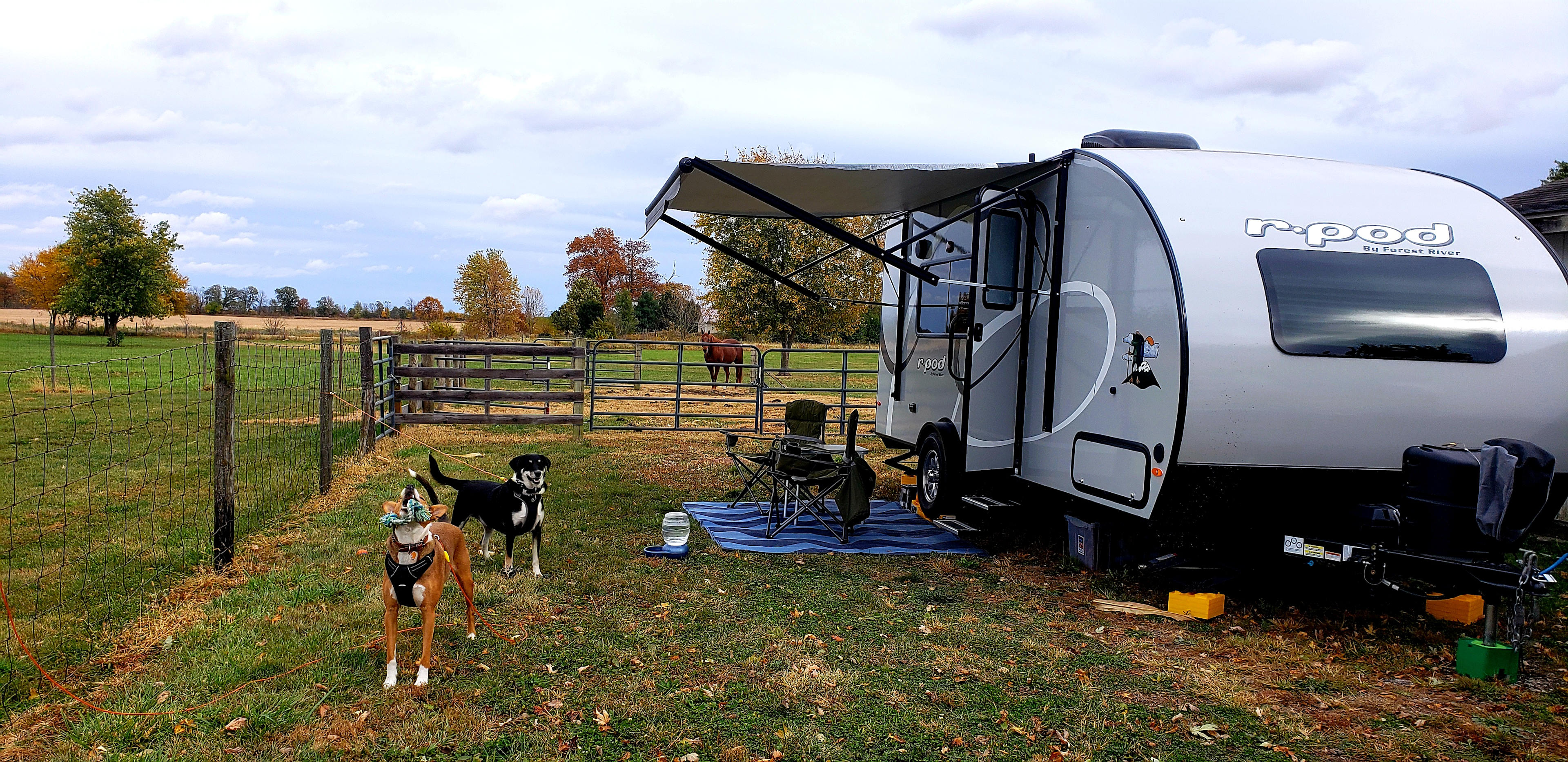 Shalamar Farm