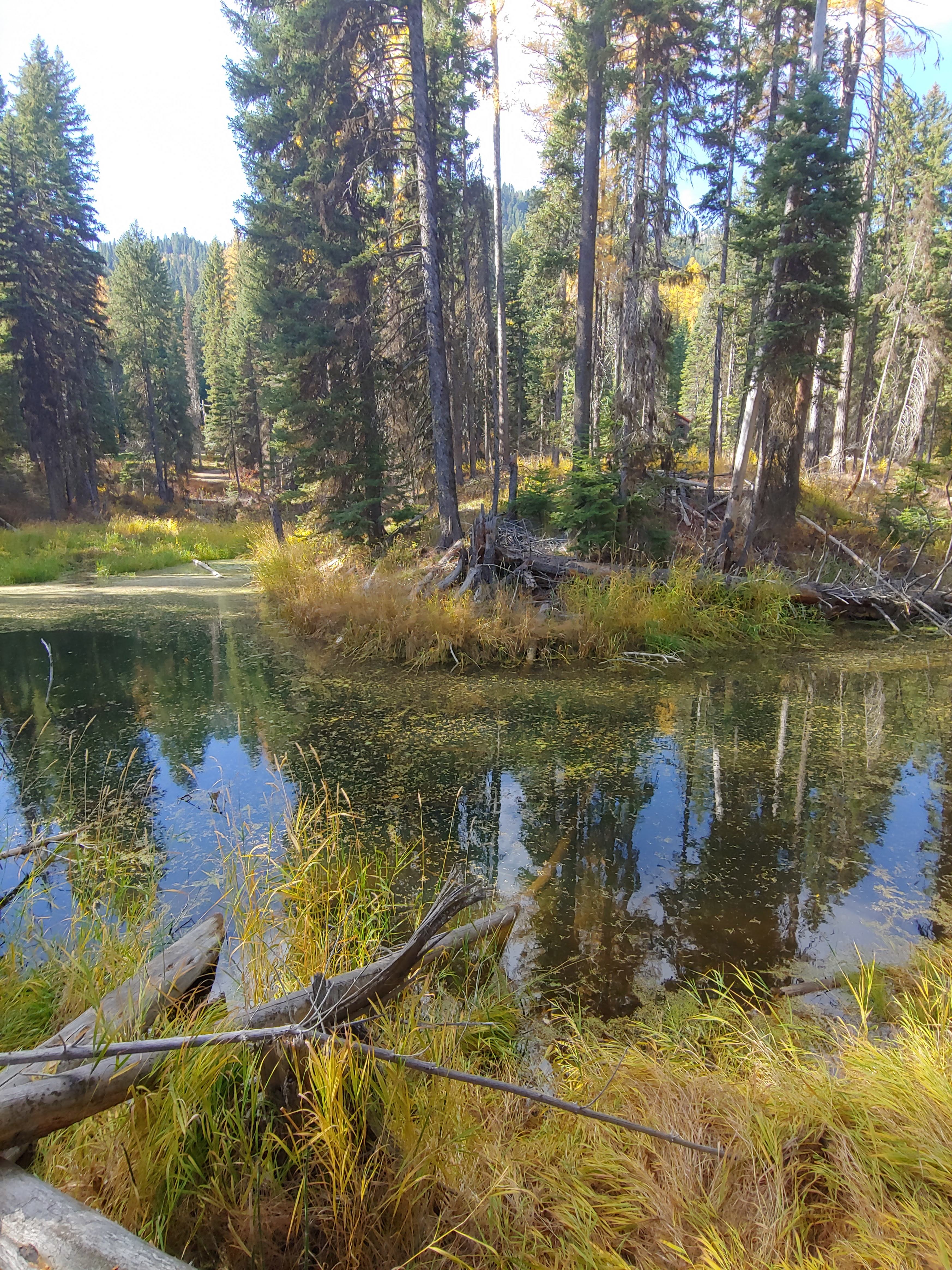 The Peninsula at Tamarack Falls Pond.
