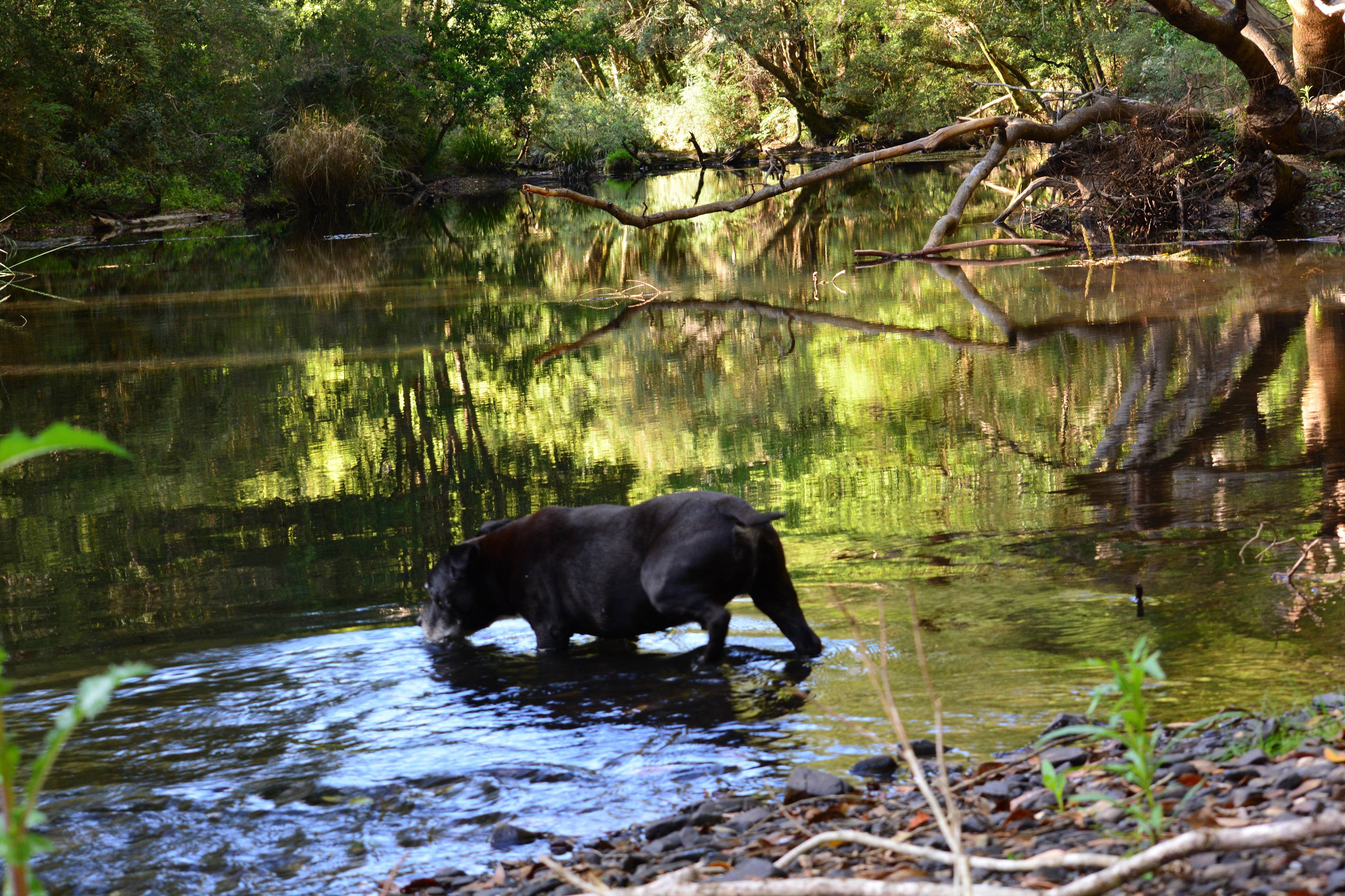 Mr Monk cooling off