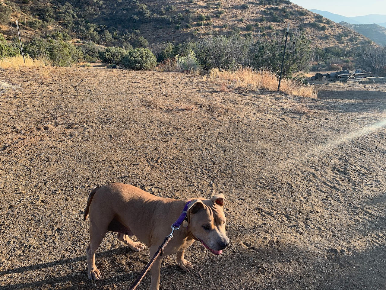 Old West Mountain Camping Near LA!