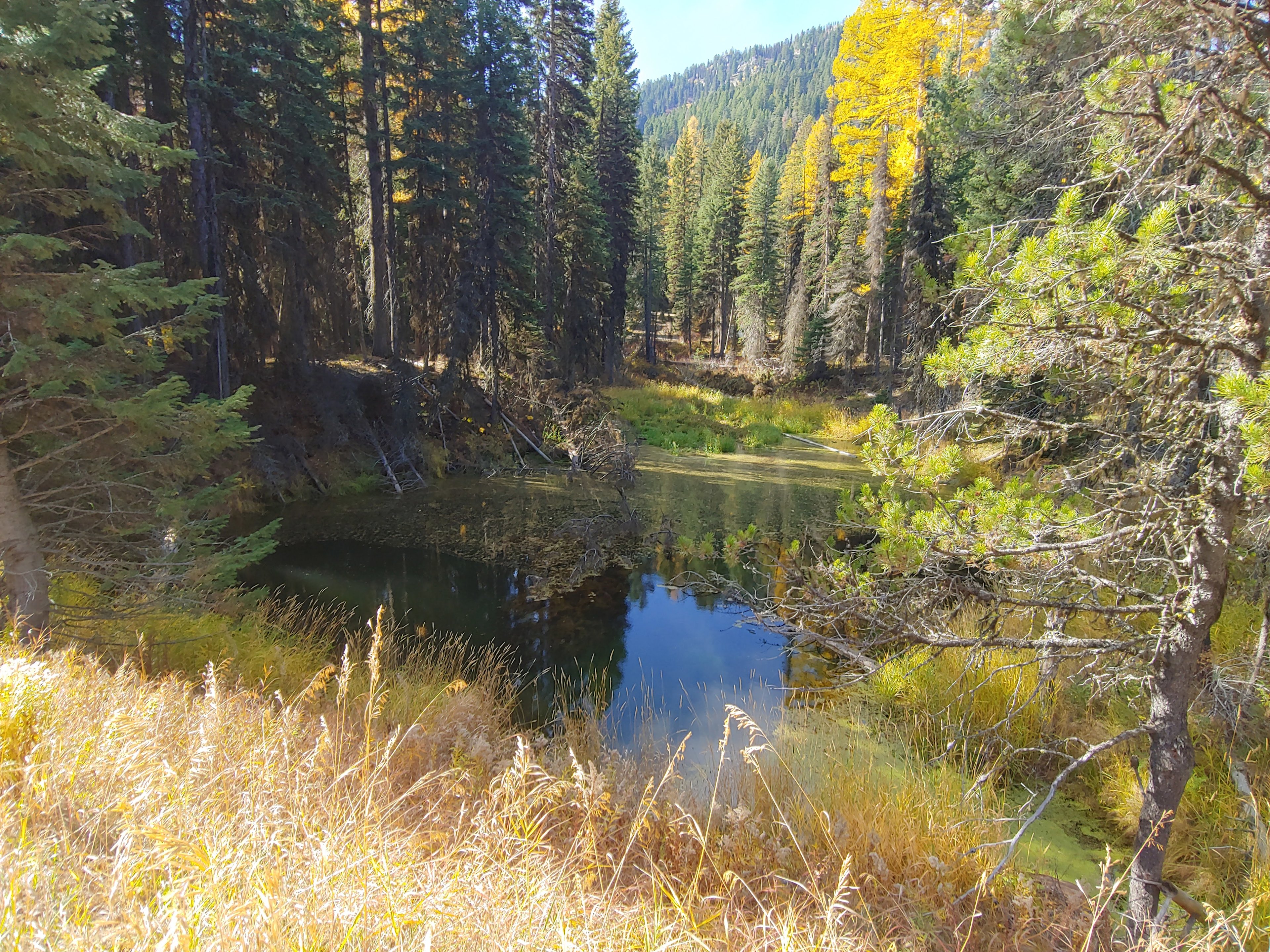 Tamarack Falls Pond as seen from West Mountain Road. Big Grove Campsite sits on the embankment to the left. The stream flows into the pond on the far side.