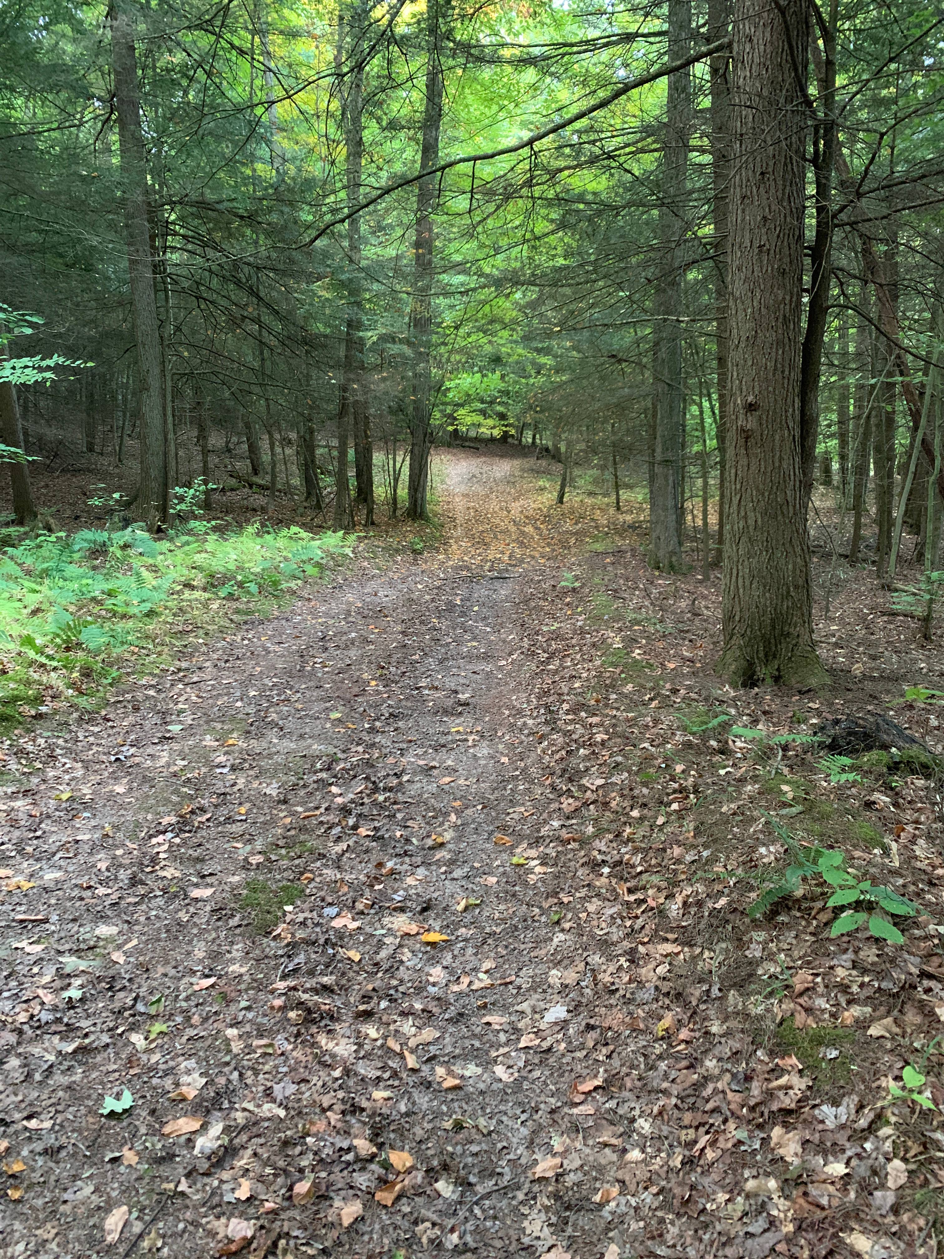 On Site Trail