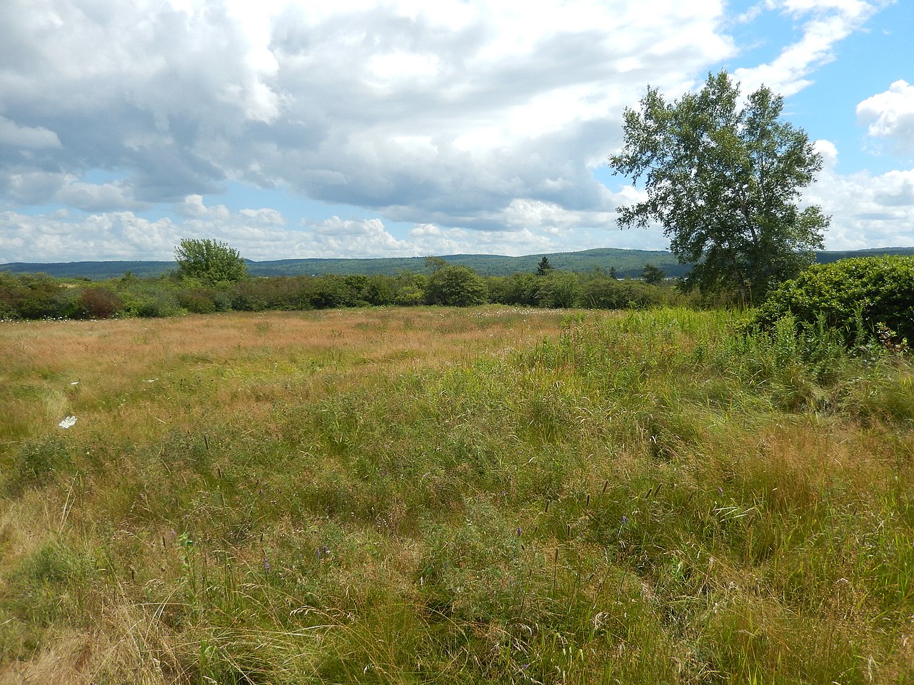 Melanson Settlement National Historic Site