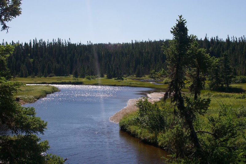 Terra Nova National Park