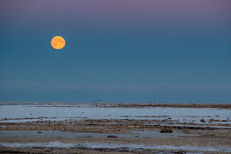 Wapusk National Park