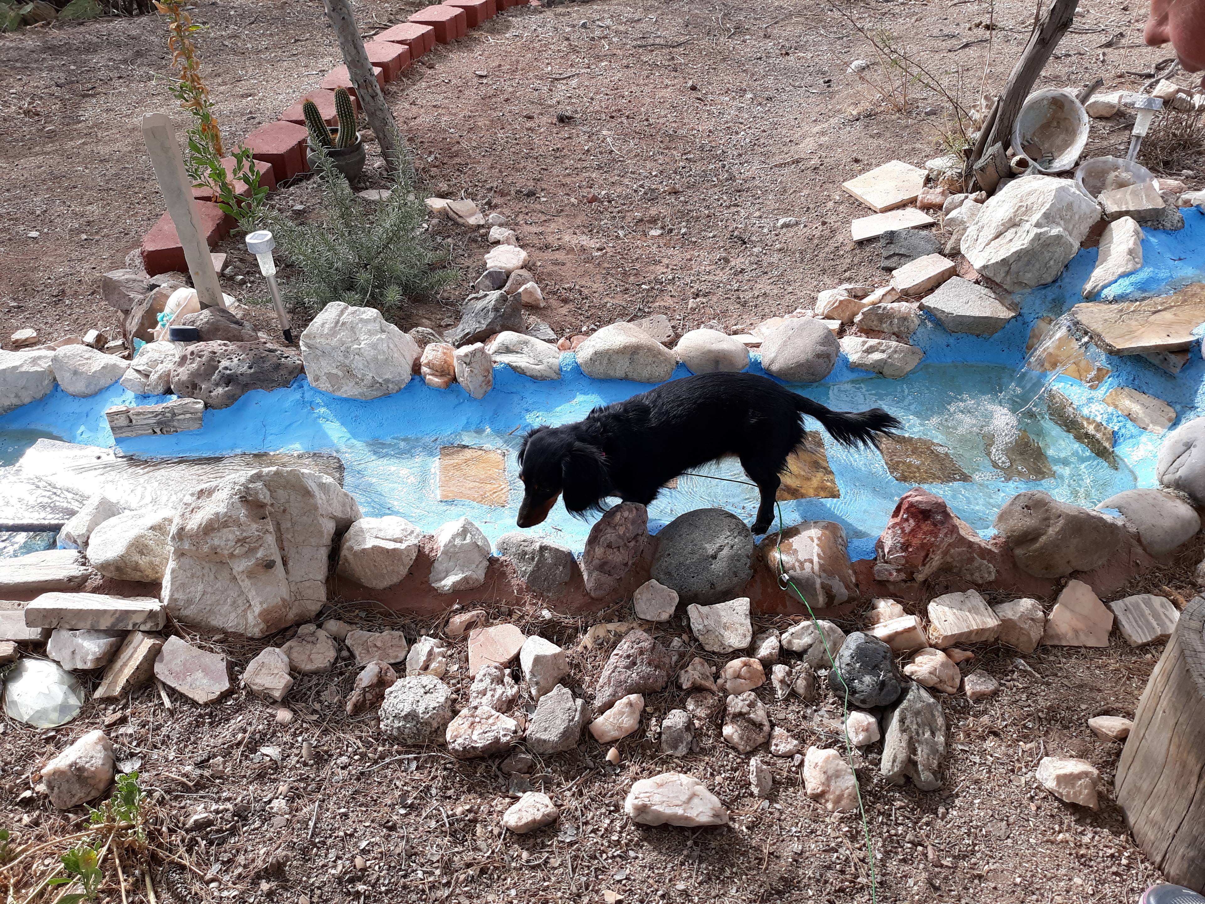 And the visitor wanted this for dinner.