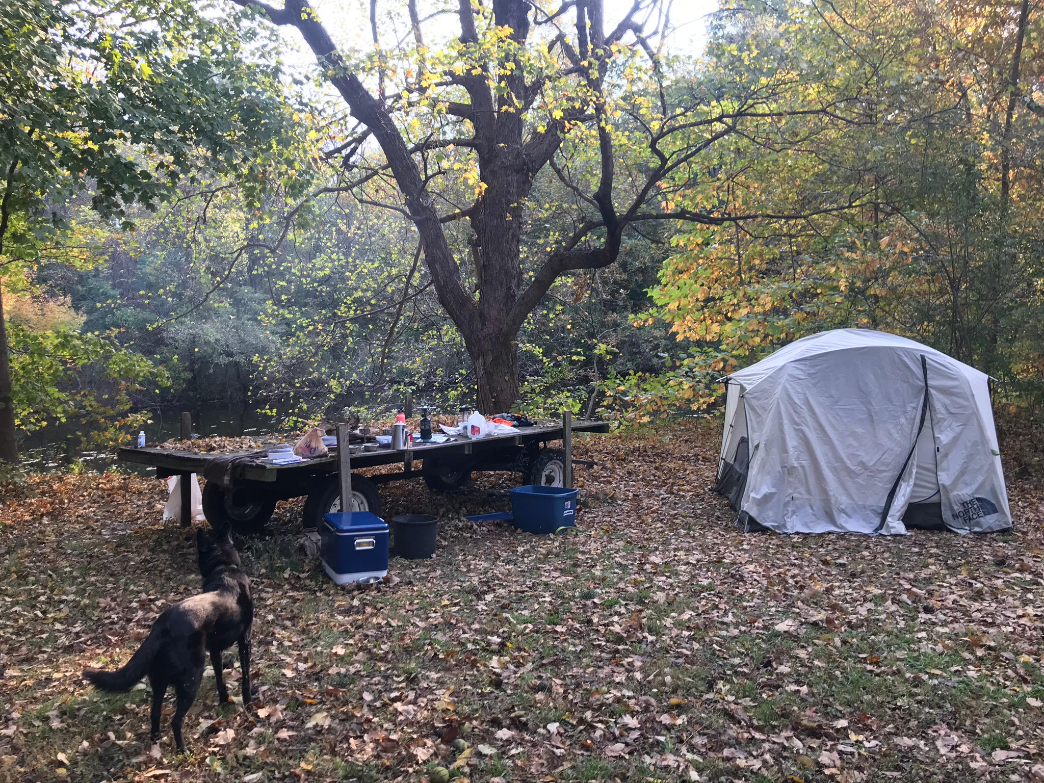 15 Acre Wood on Lake