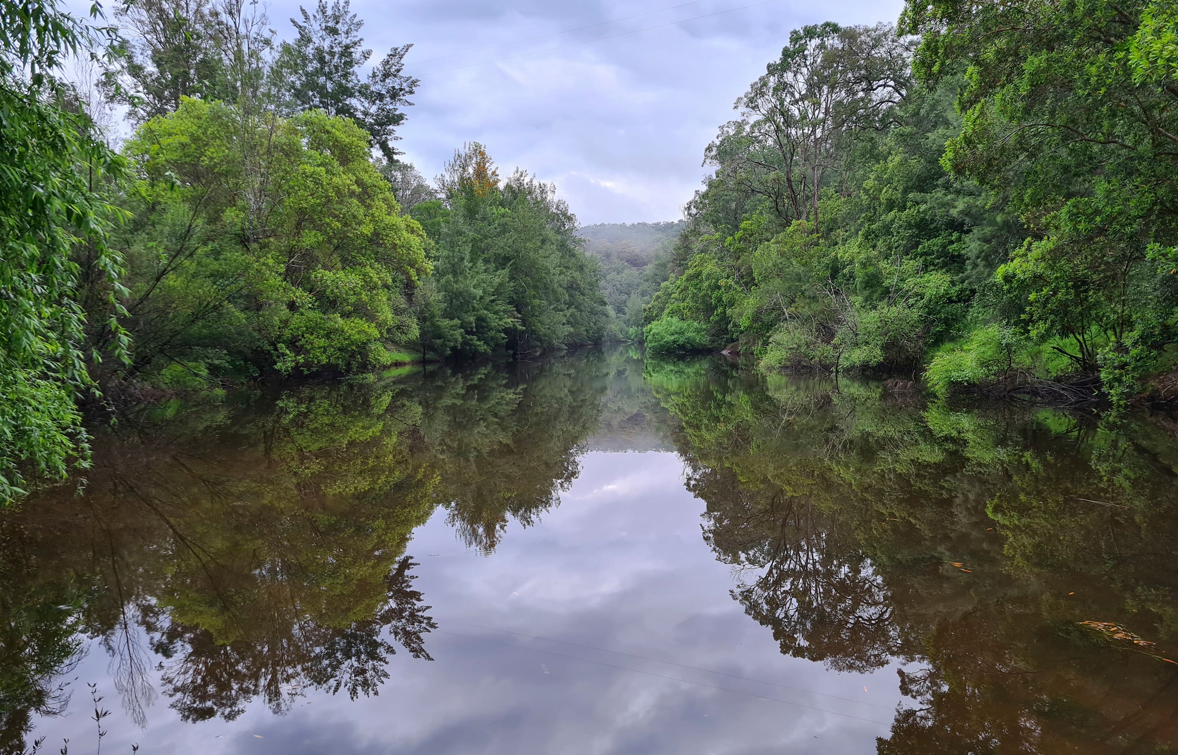 Wollombi Brook