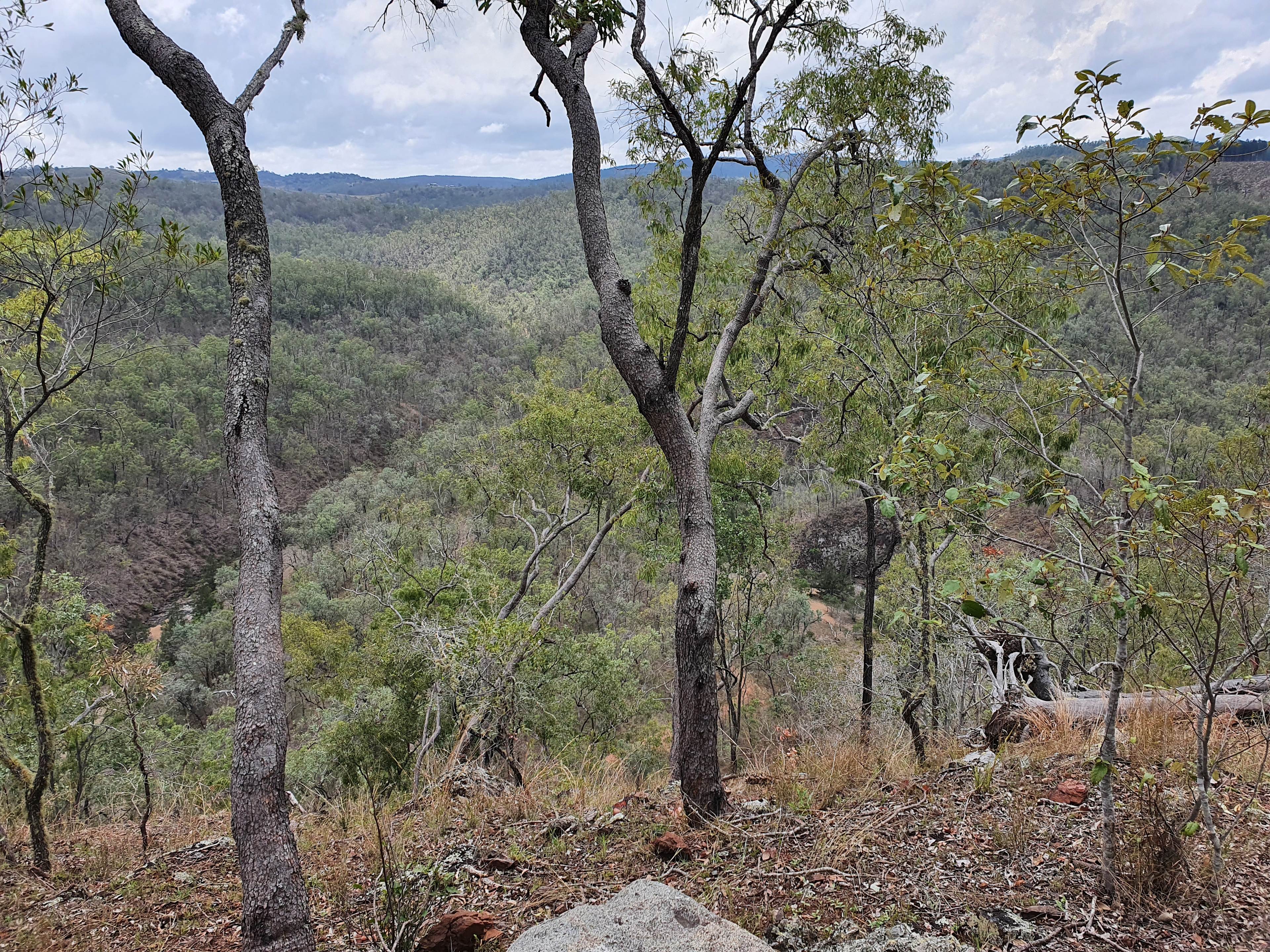 Resolute Nature Refuge, Nanango