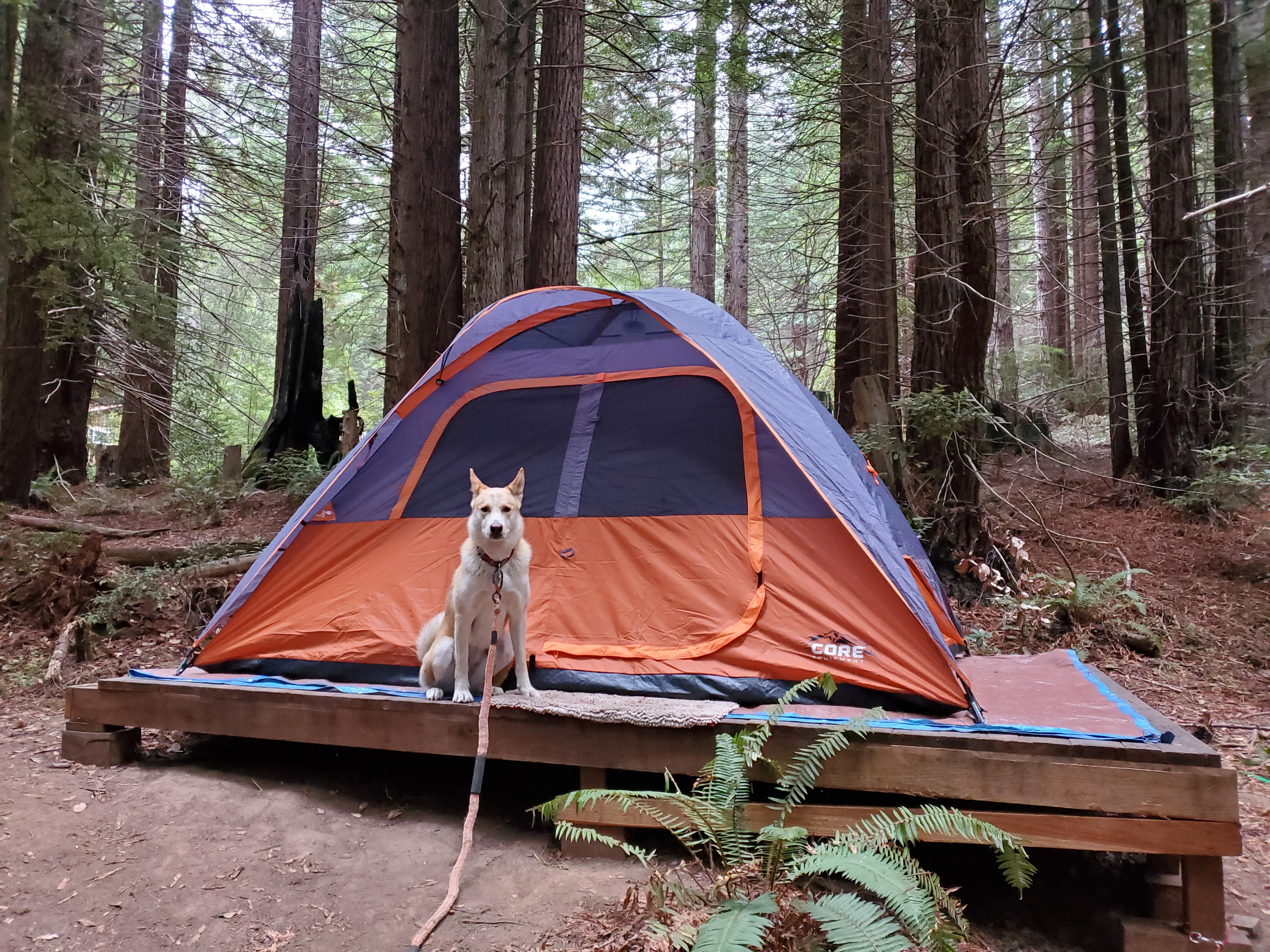 Platform for tent, dog friendly