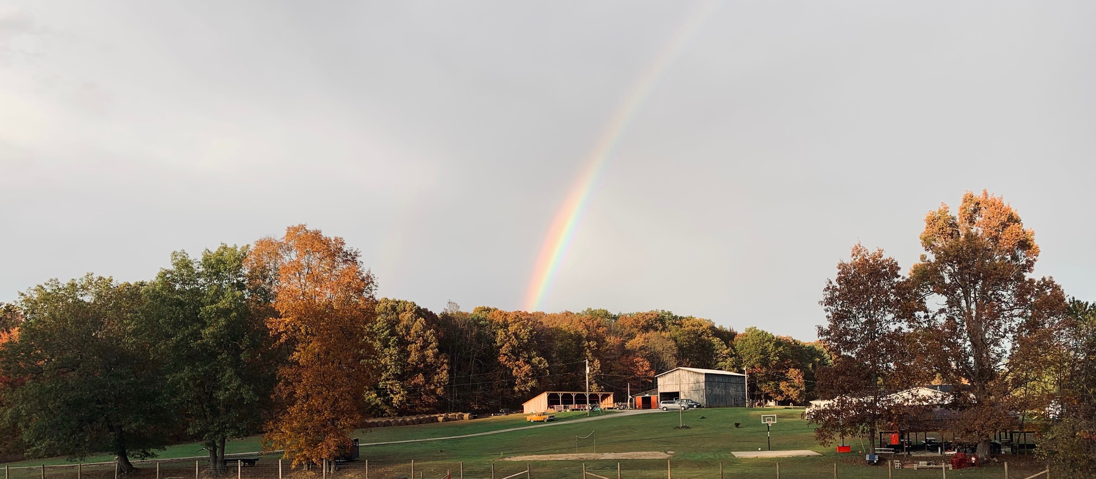 Family Farm Experience