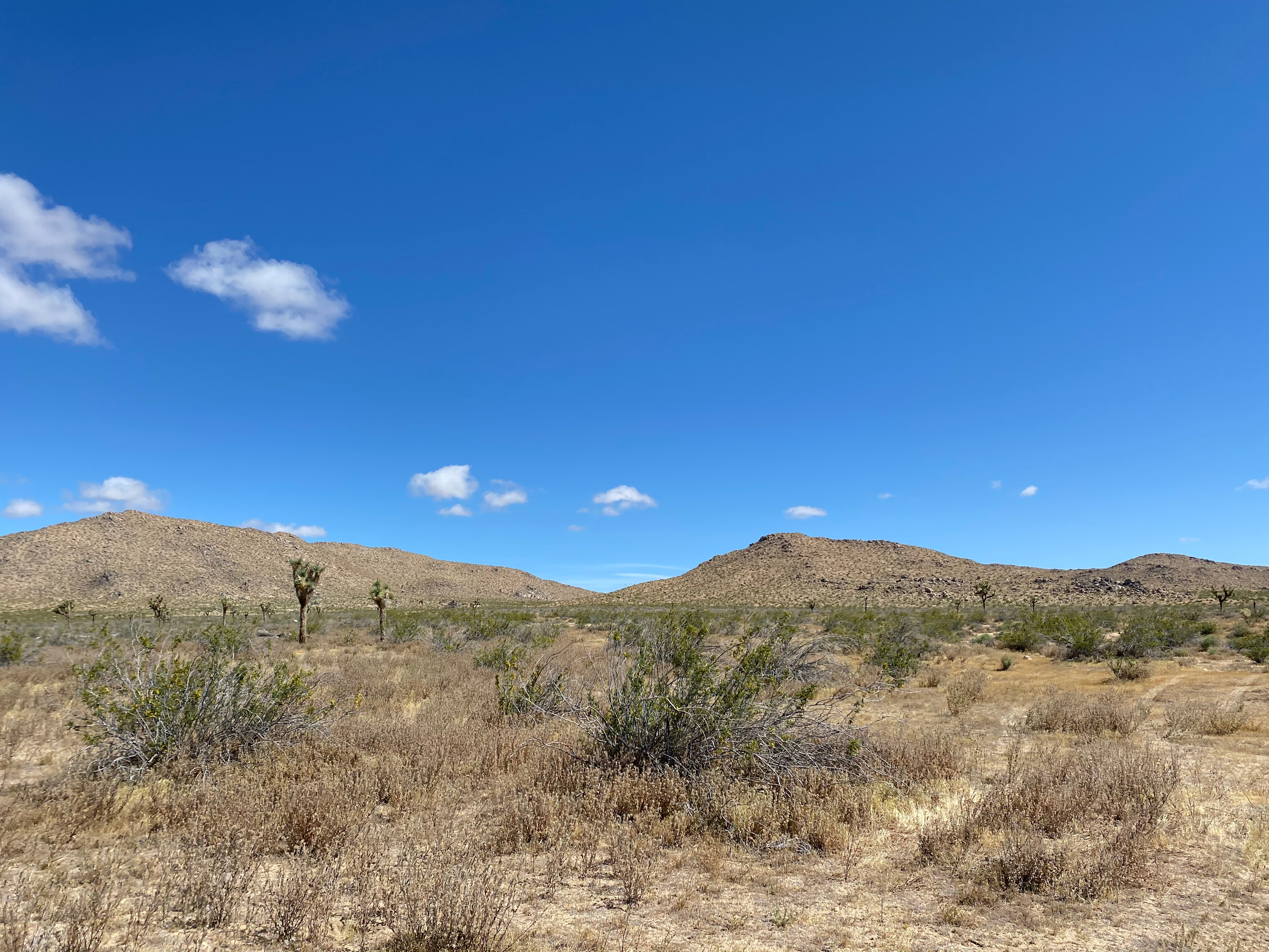 Large Desert with a Gorgeous View!