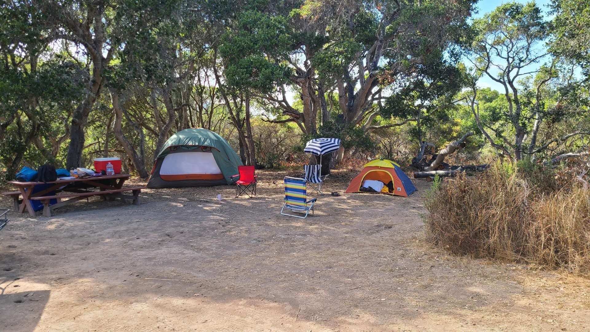 Camp WagMore