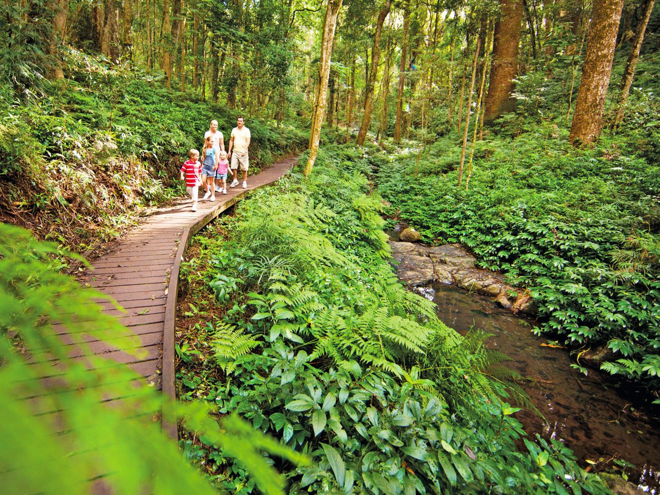 Bunya Mountains National Park