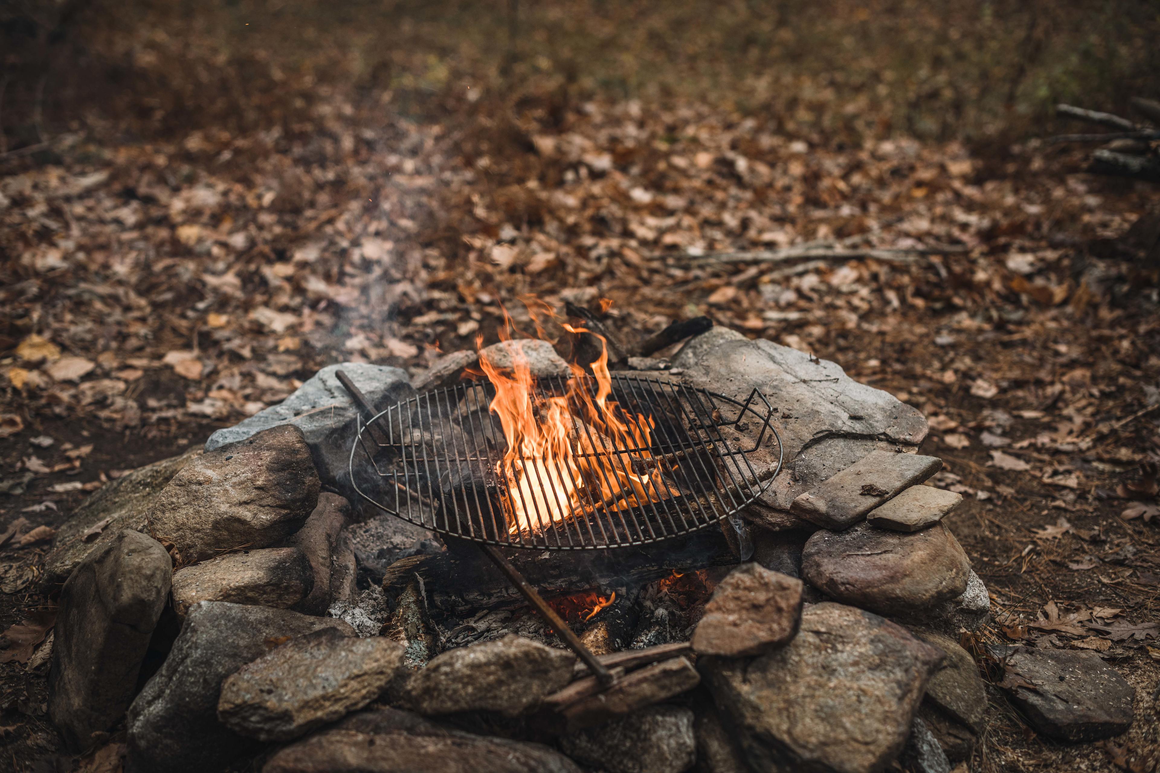 There is a fire ring set up for use