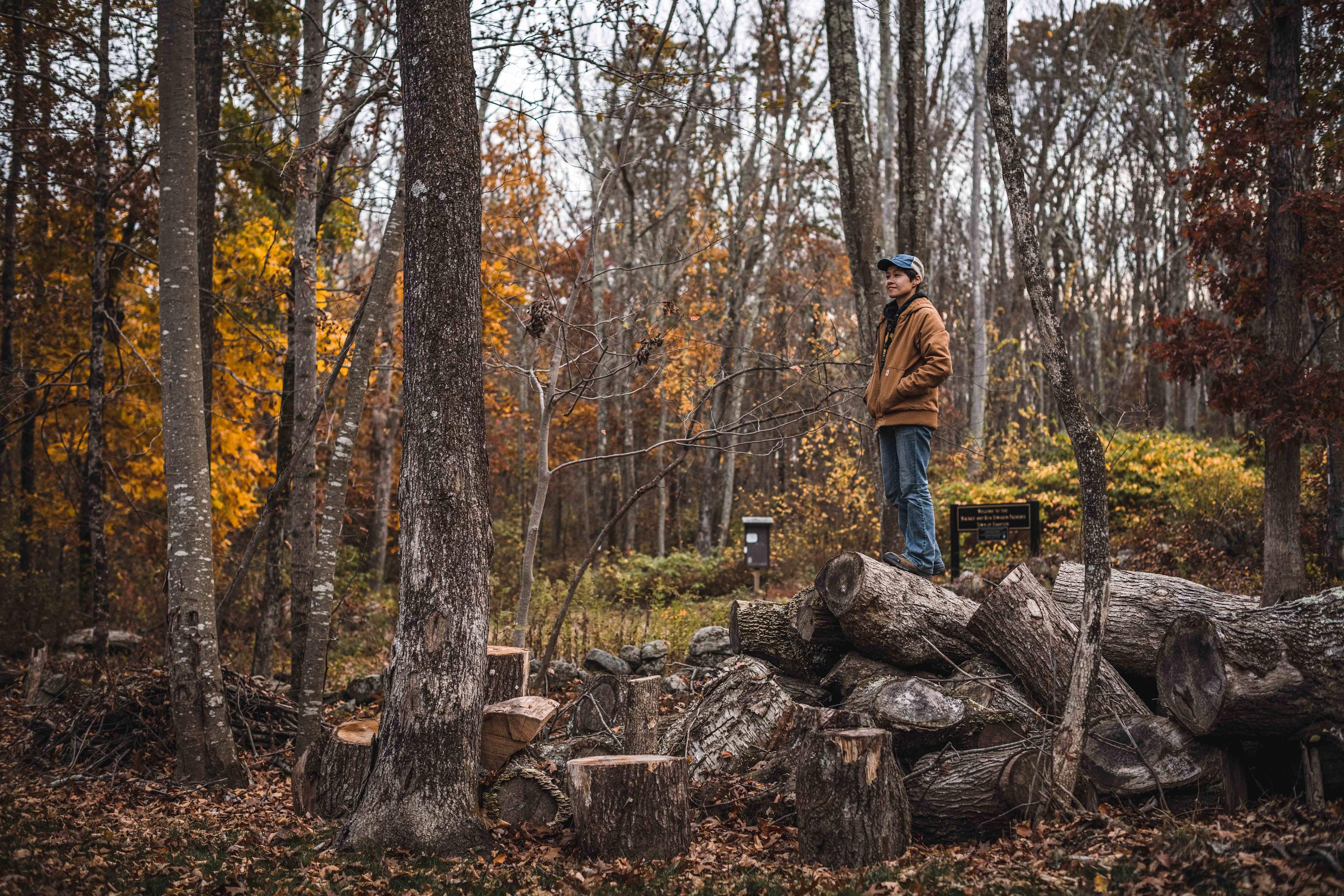 Fernwood on Alan F.’s Land