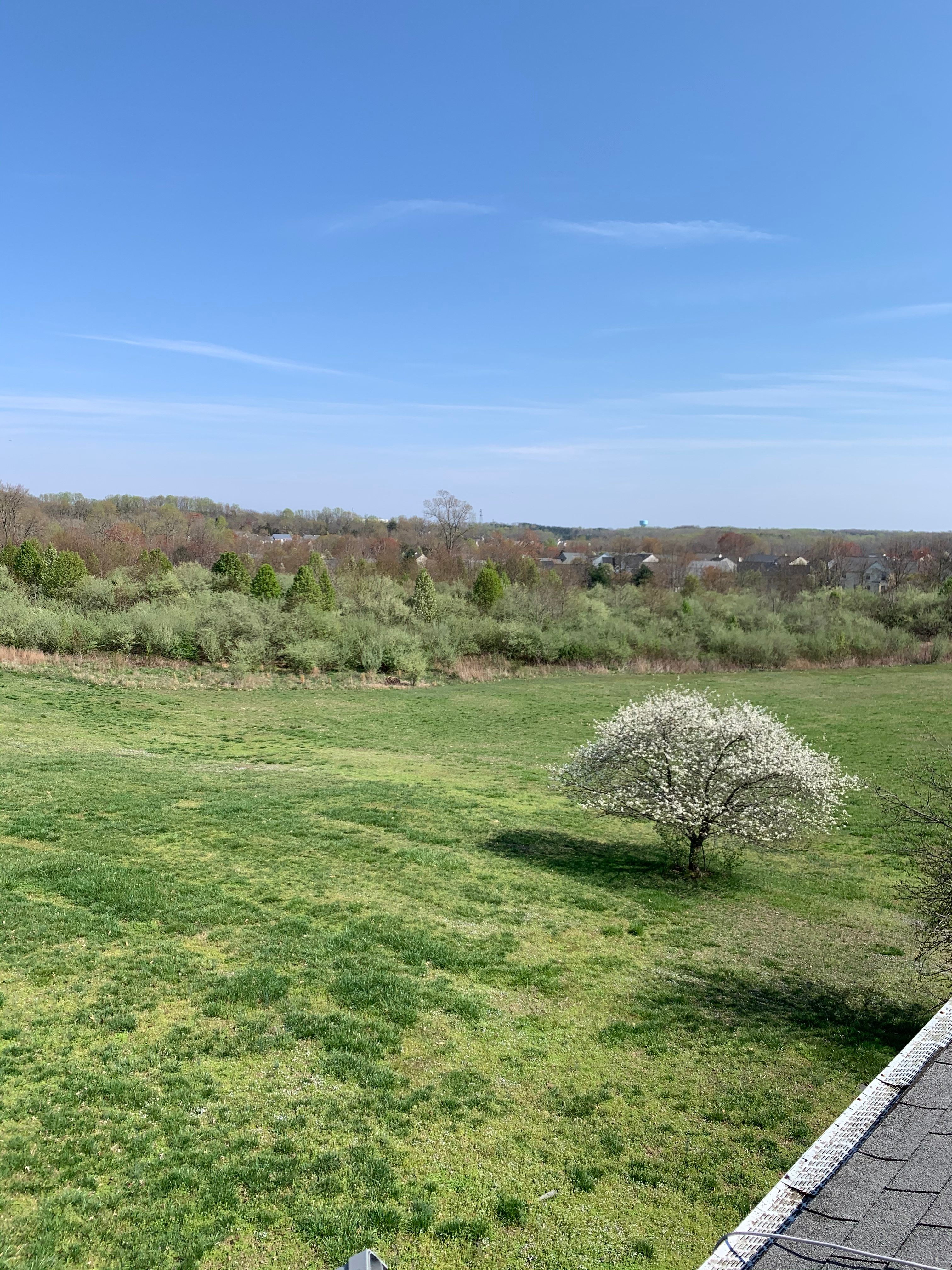 Burton Family Farm a place to relax
