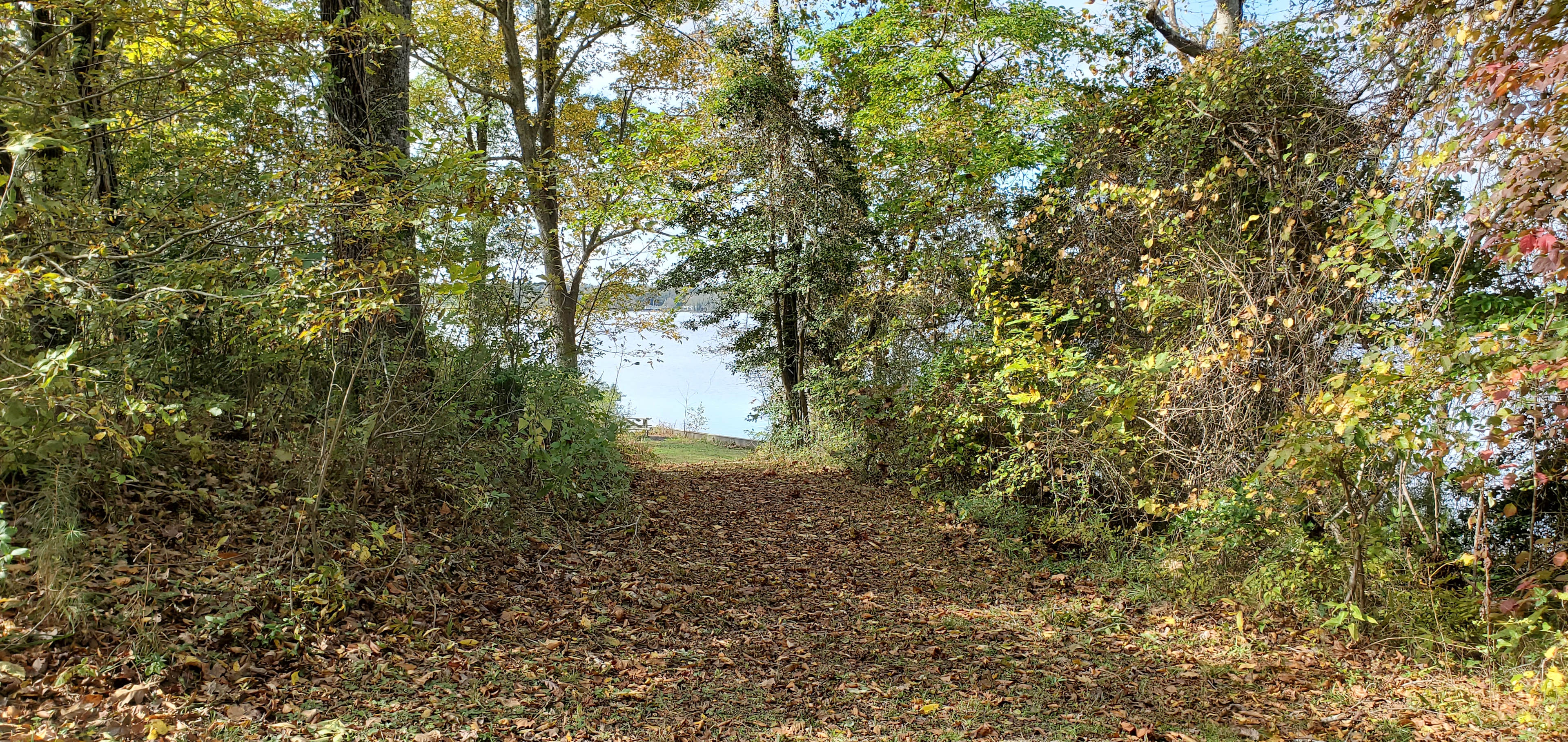 Short distance trail to your camping site.