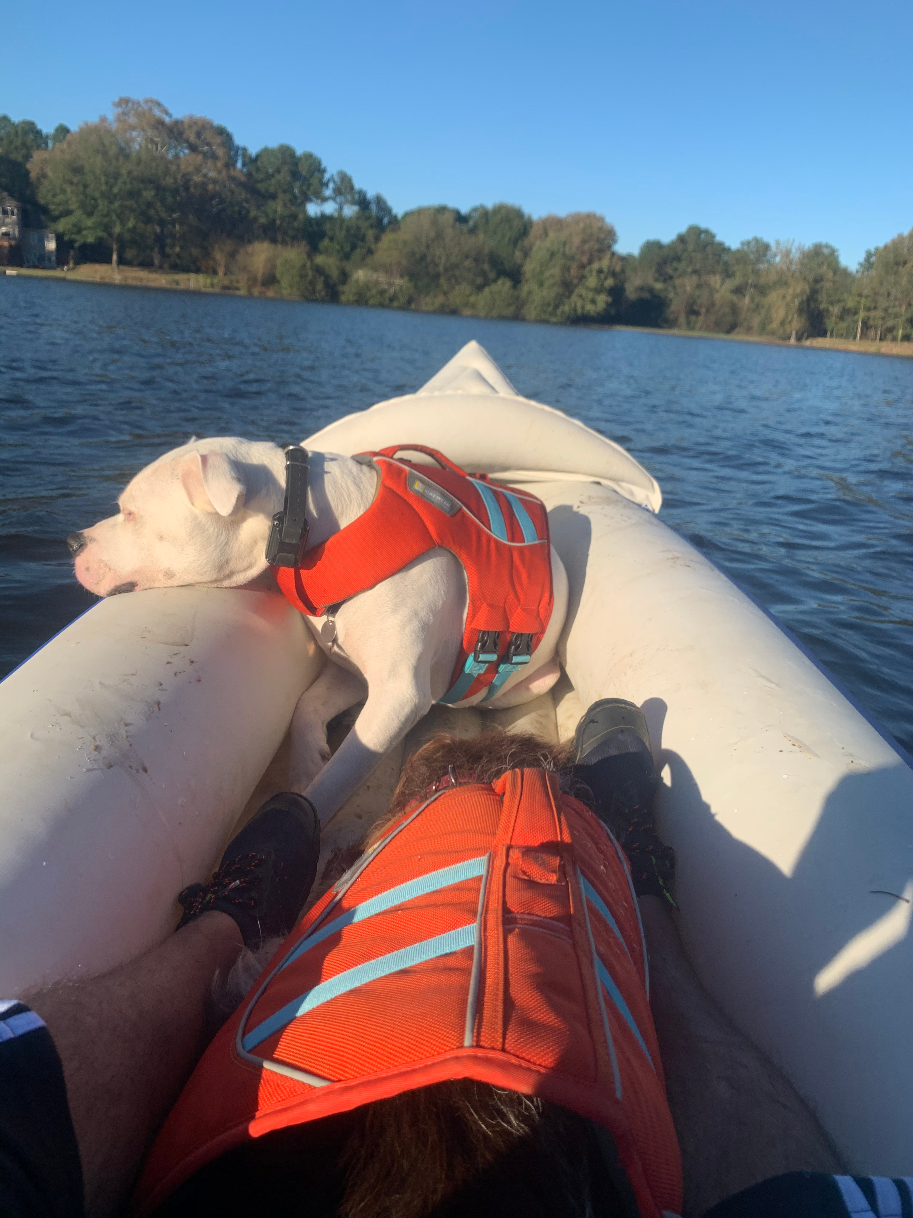 Brooks Lake, A Peace of Heaven
