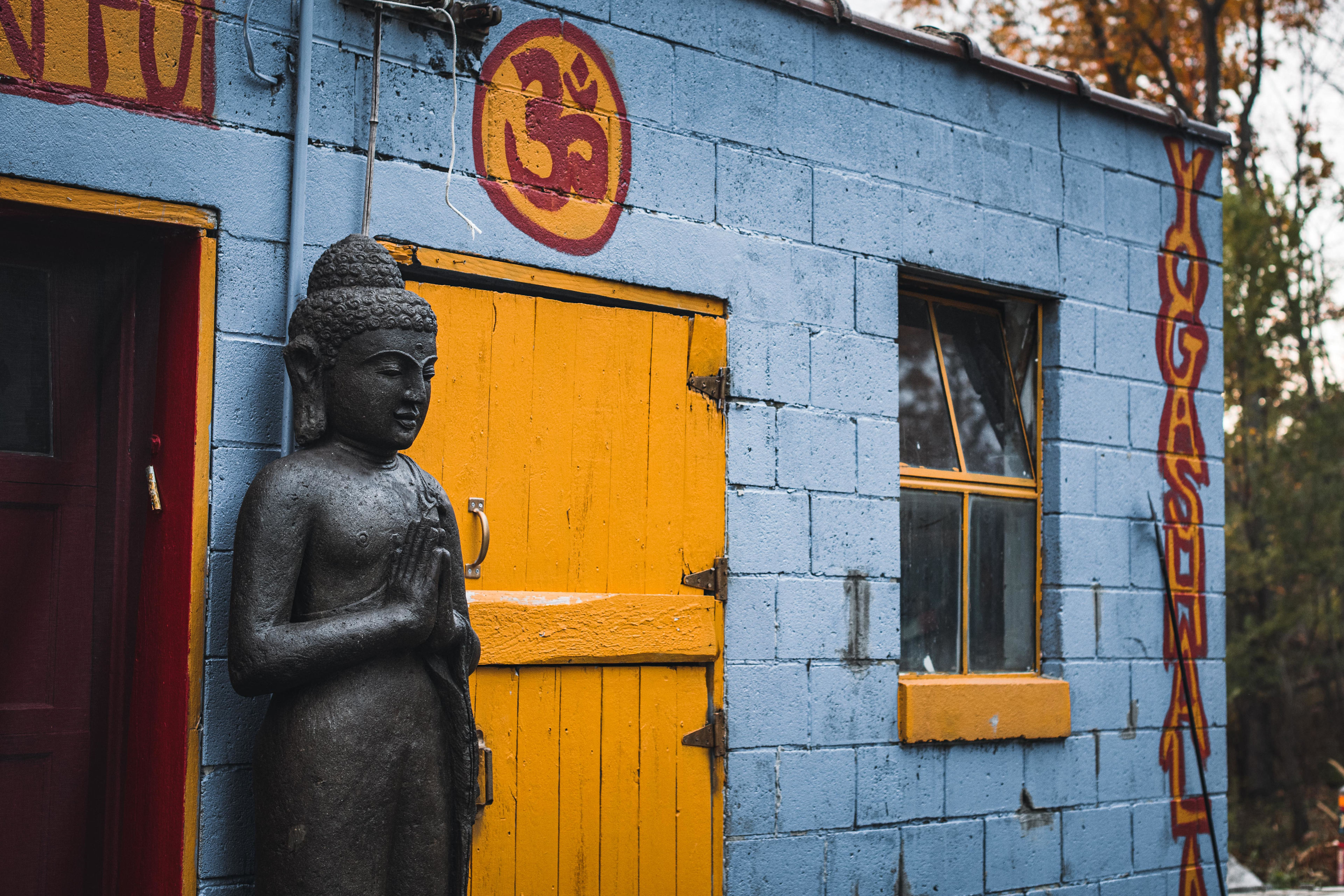 Dharma Bums Eco Lodge