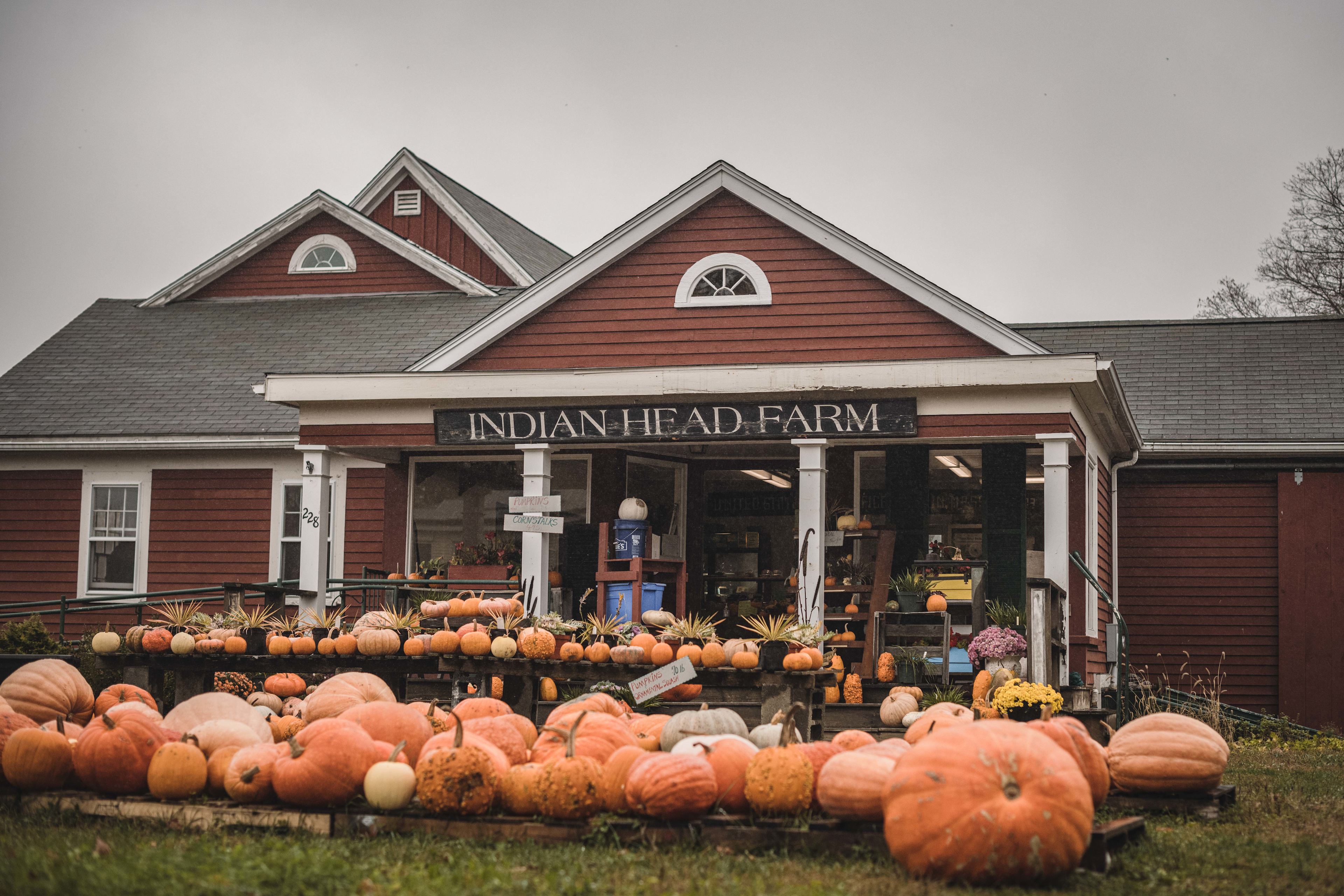 Right across the street is this awesome farm store