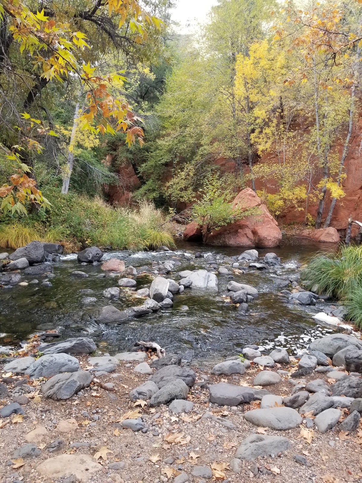 The creek is less than one minute away from the site!