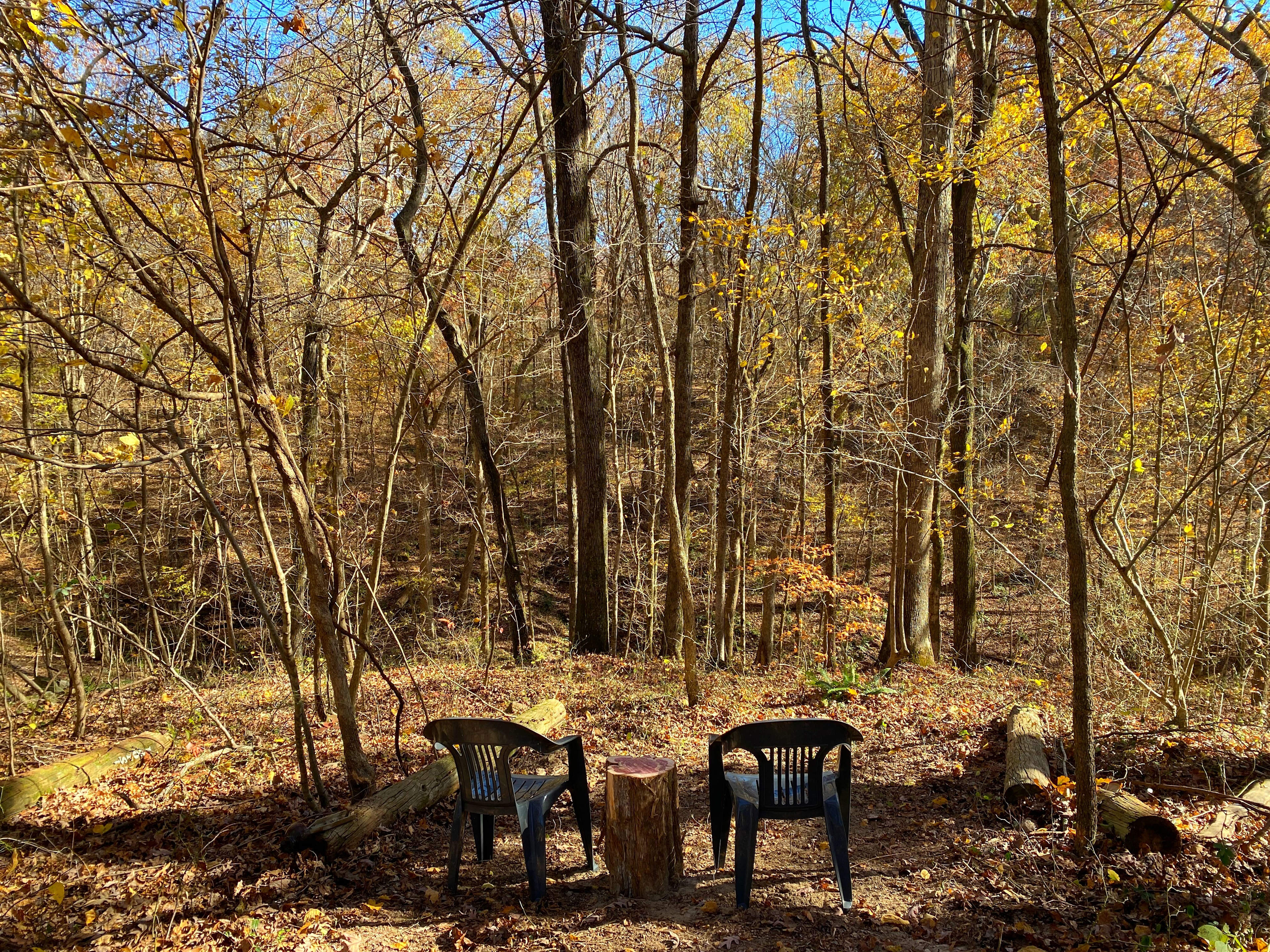 Maple Shade Farm full hookup site