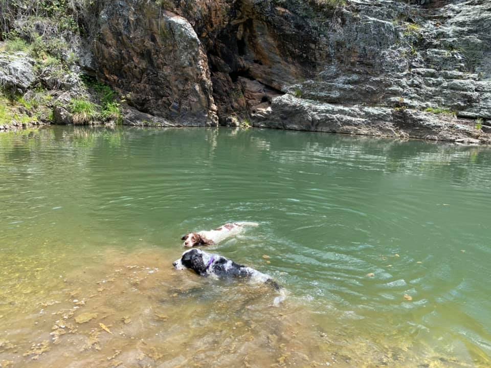 Farm Stay "Como Valley"@ Ben Bullen