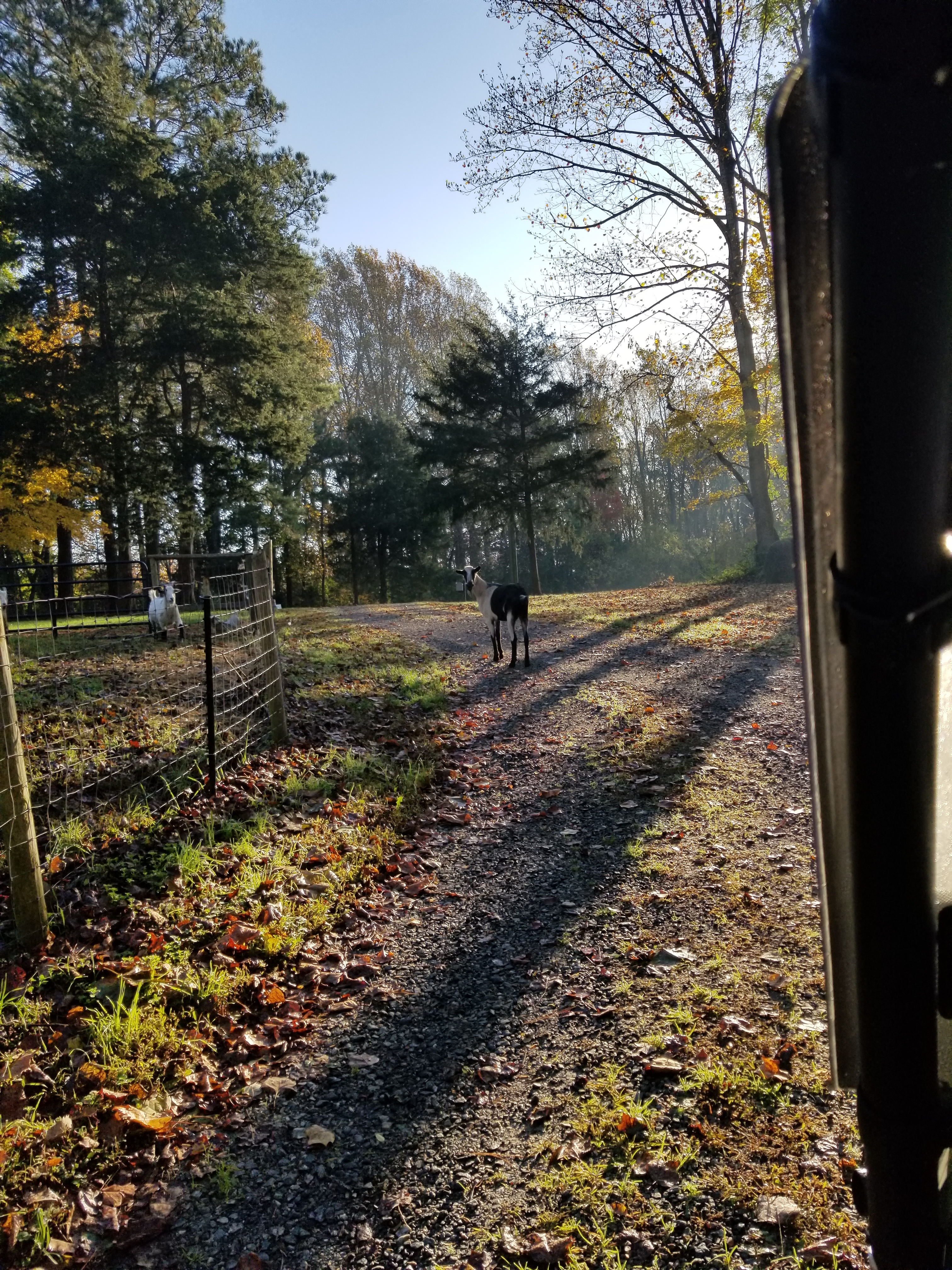 Easy Wind Farm in the beautiful NNK
