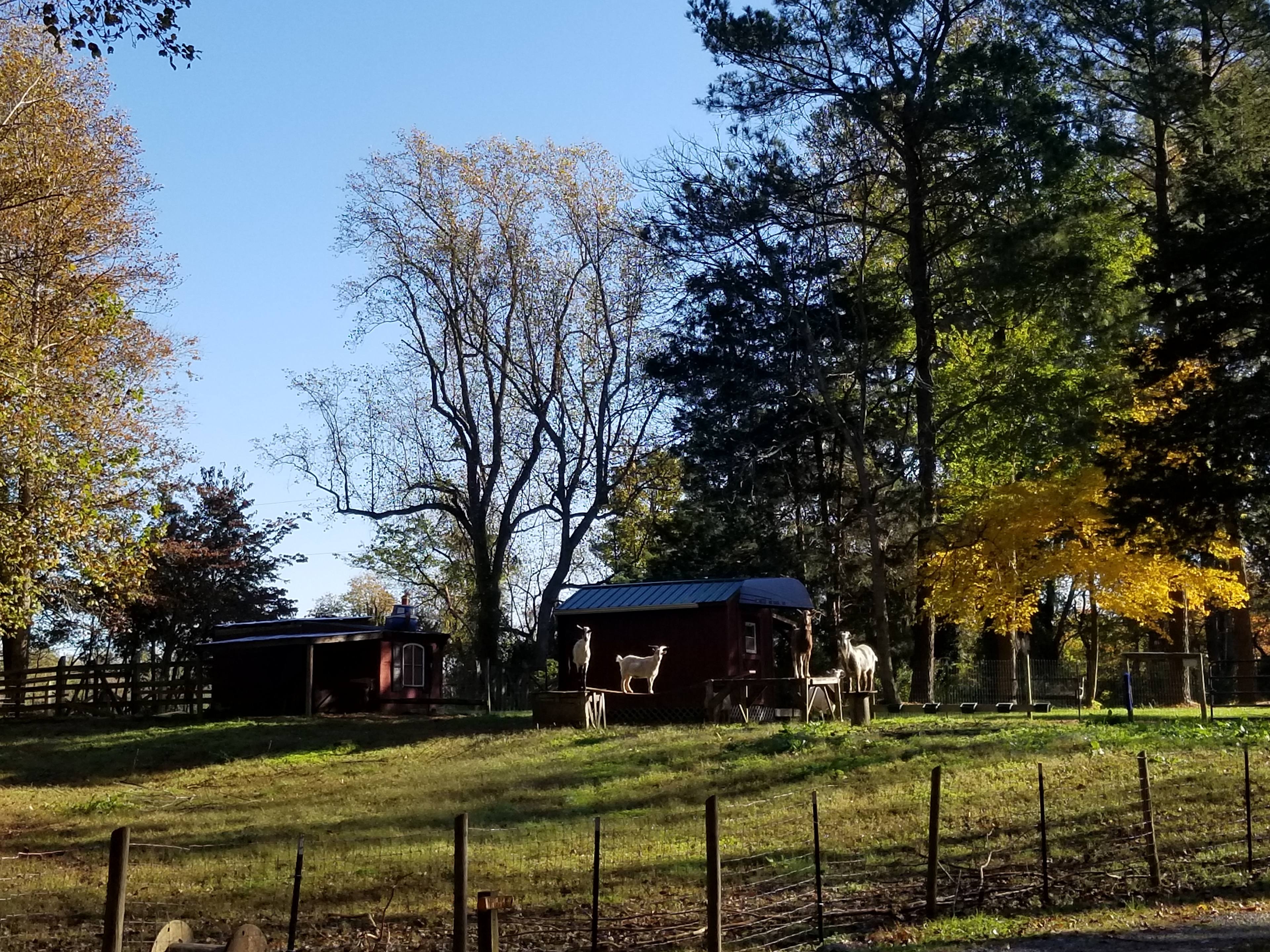 Easy Wind Farm in the beautiful NNK