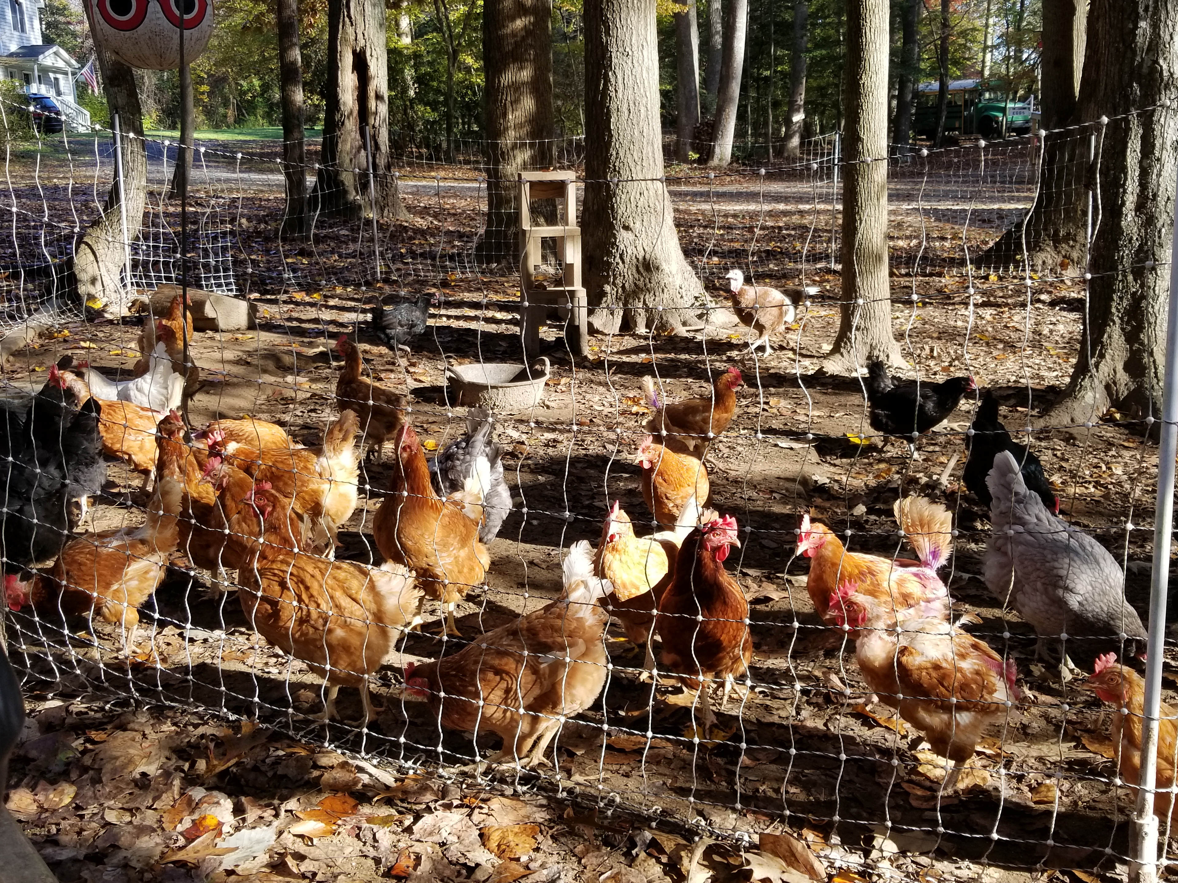 Easy Wind Farm in the beautiful NNK
