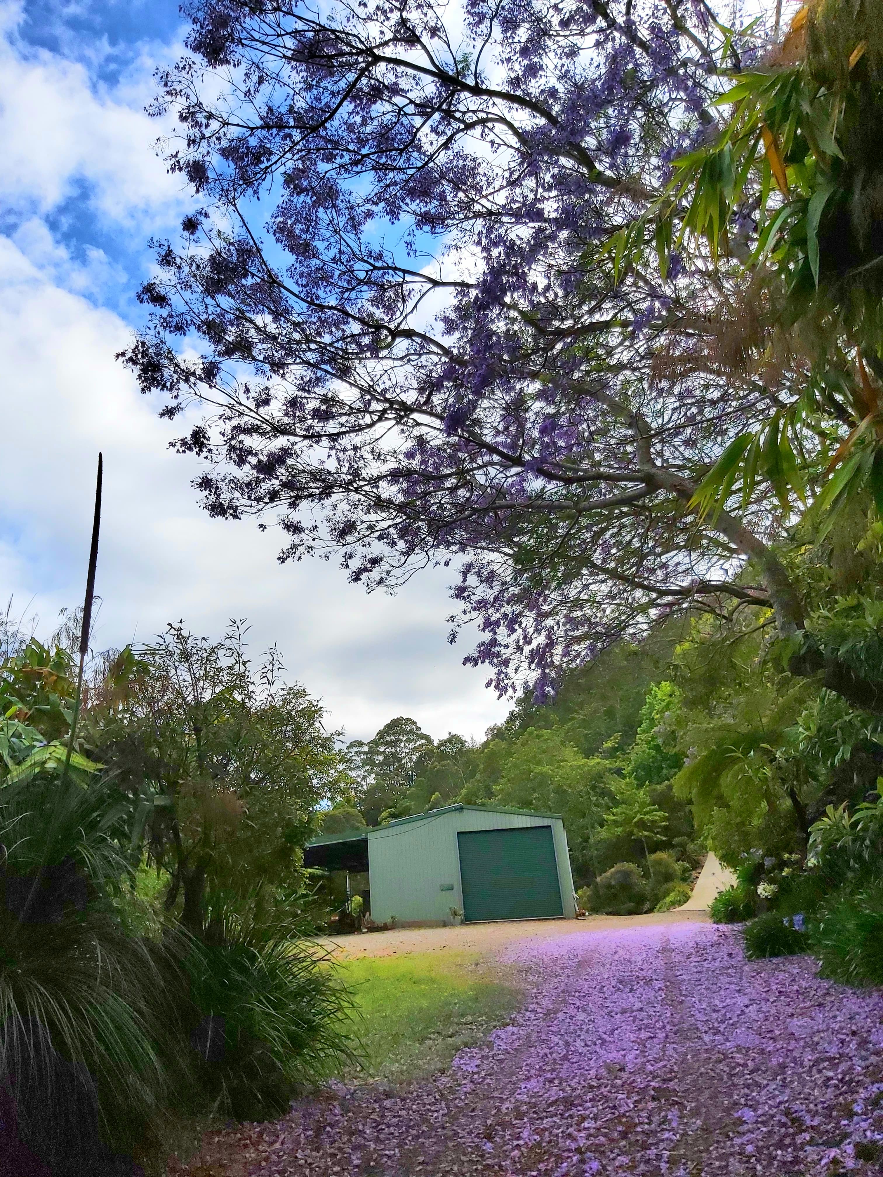 The Banana Shed - creative art spaces in purple hues