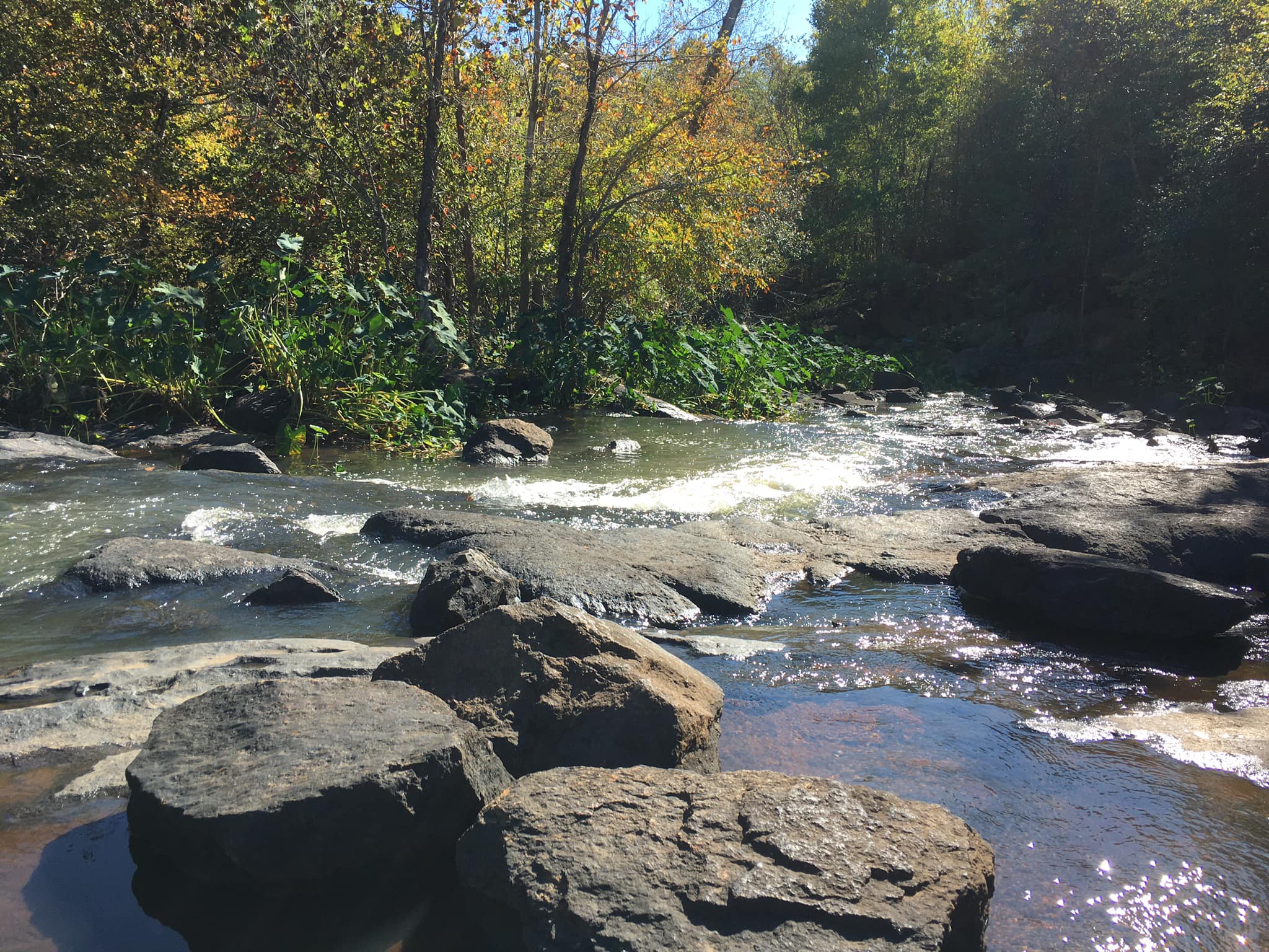 beautiful scenery here