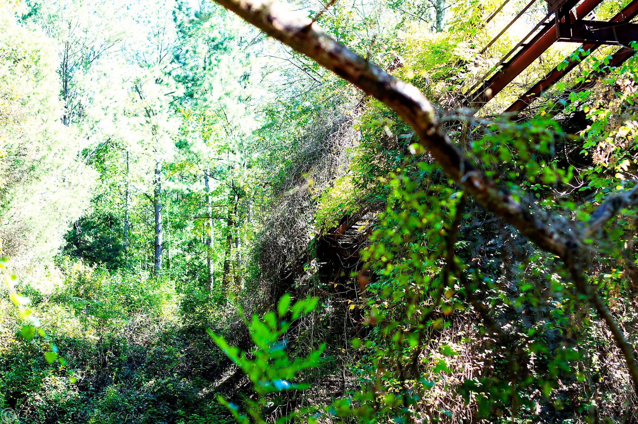 Watson Mill Bridge State Park
