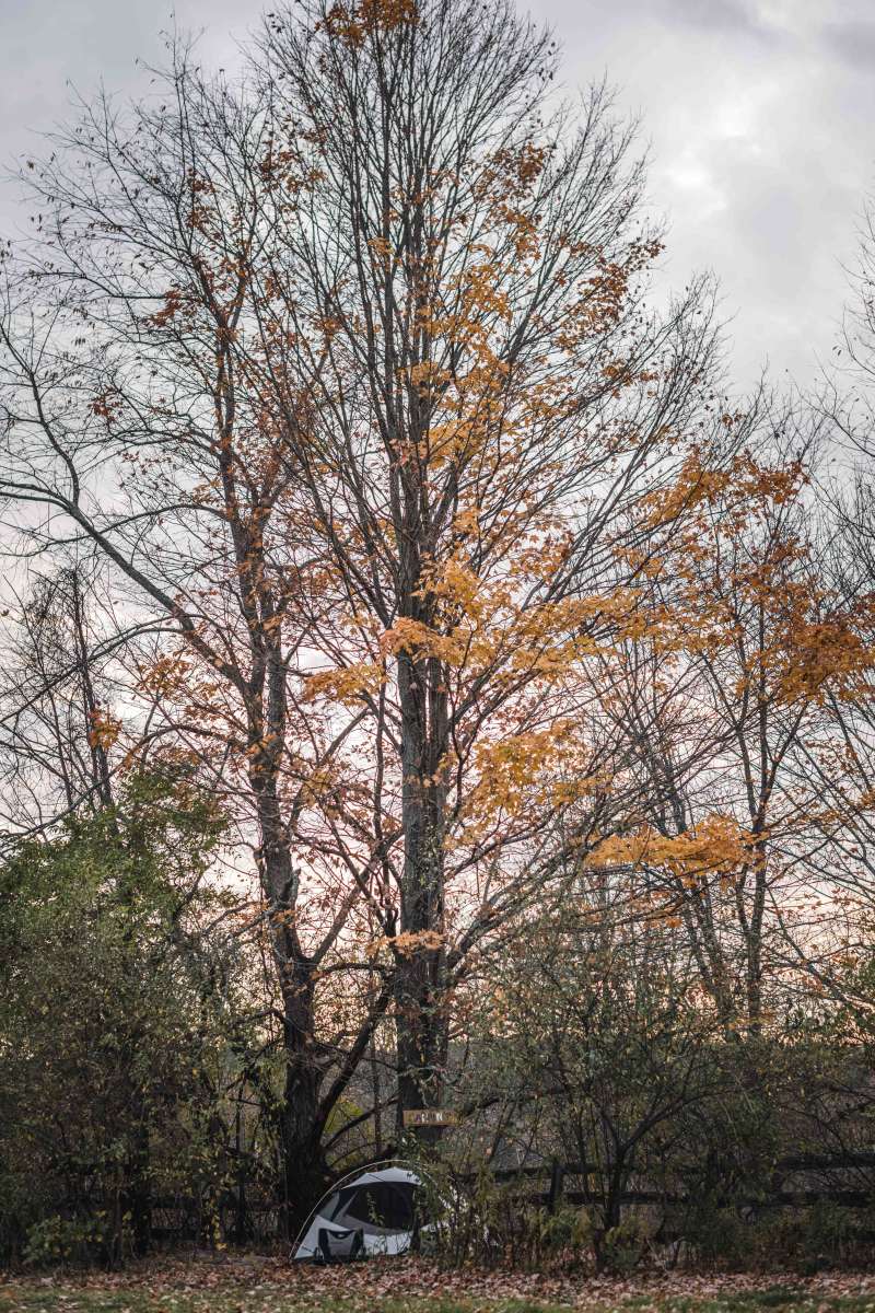 Dharma Bums Eco Lodge