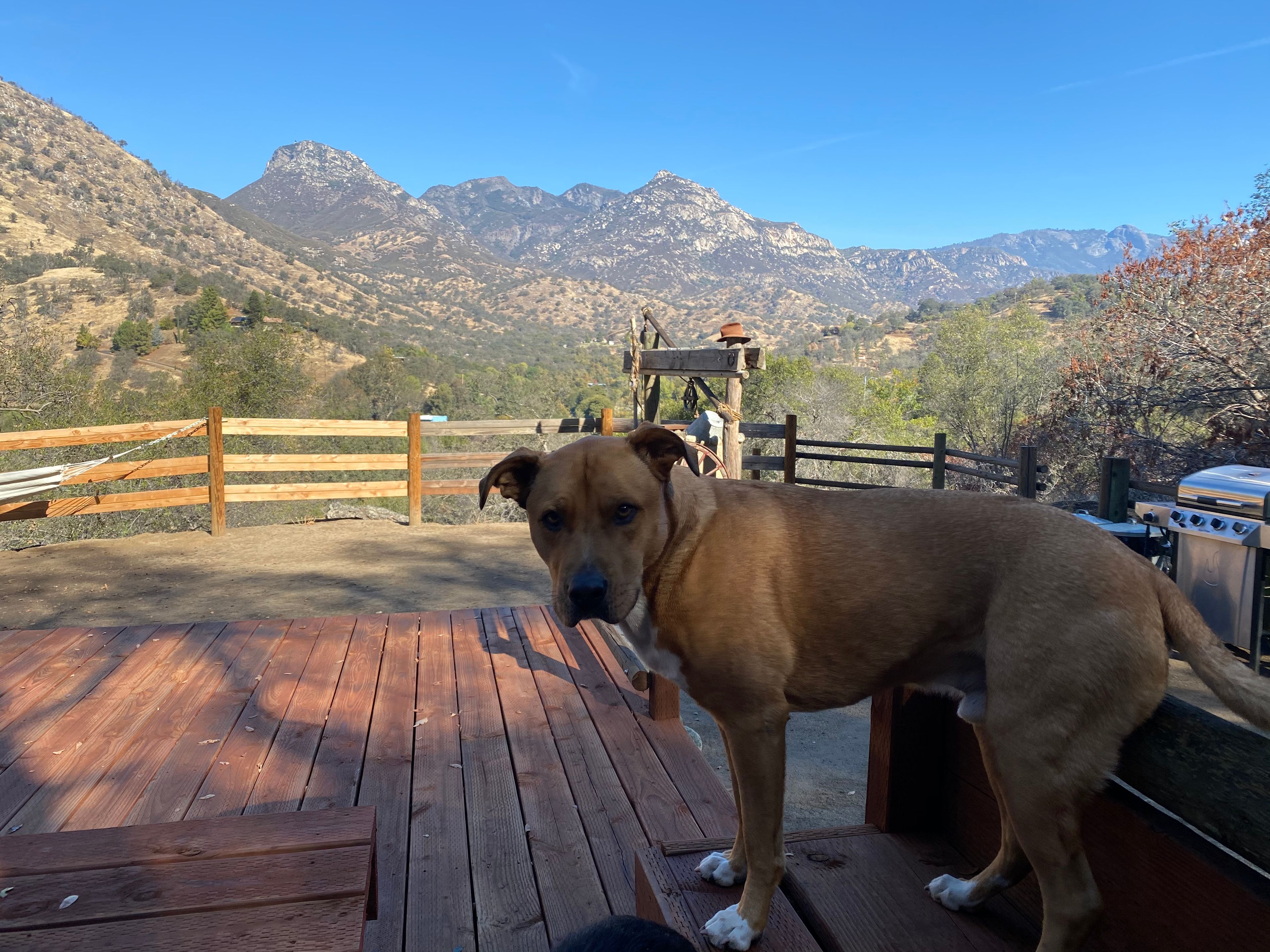 There’s a nice built in table and bench to sit and have breakfast with an incredible view