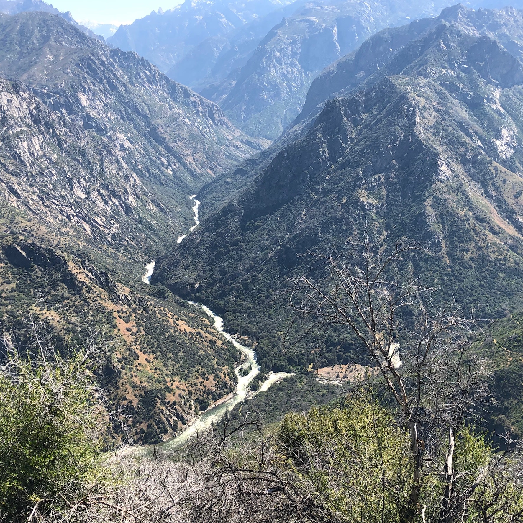 Kings Canyon Campground