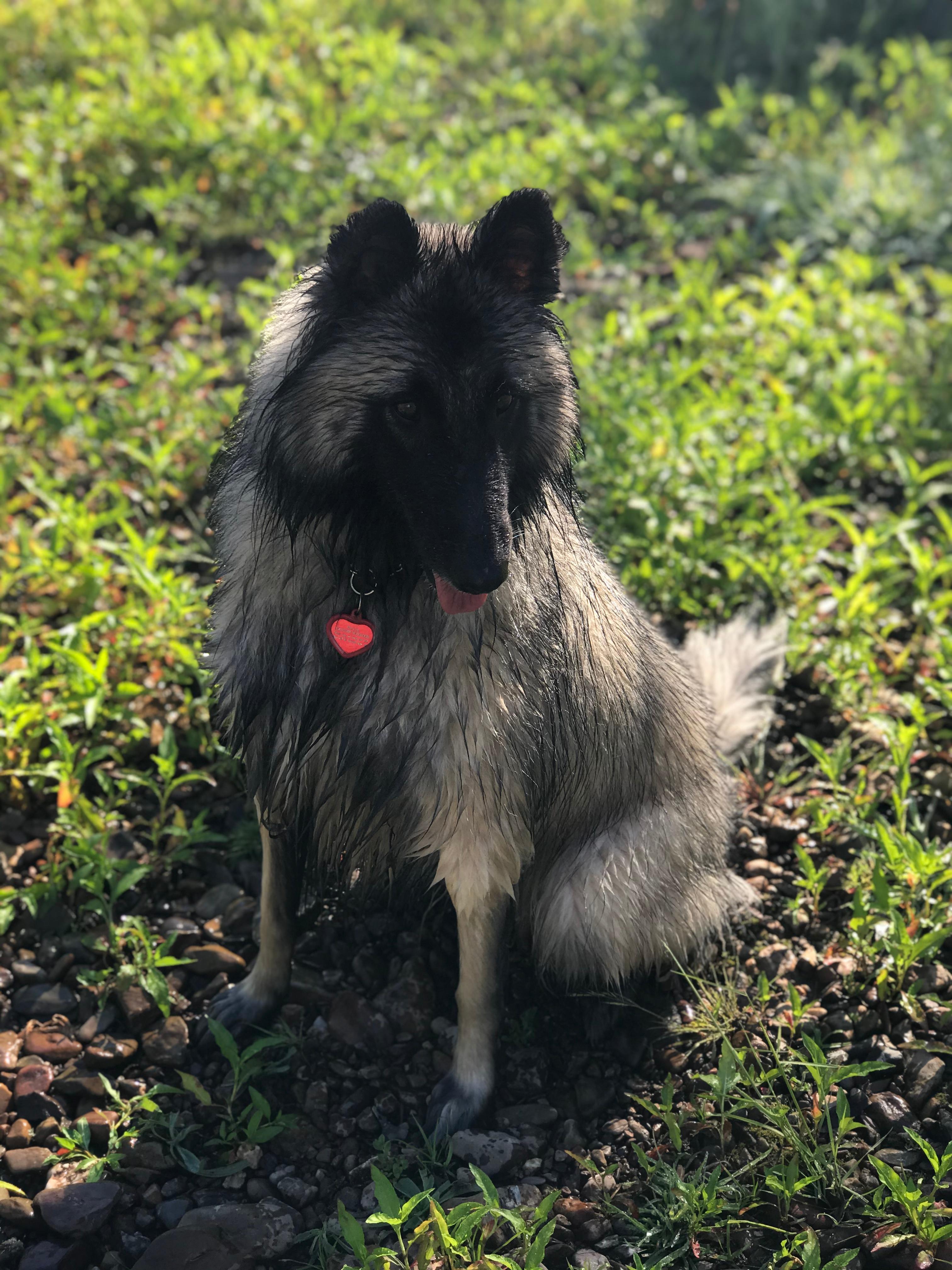 Farm Stay "Como Valley"@ Ben Bullen