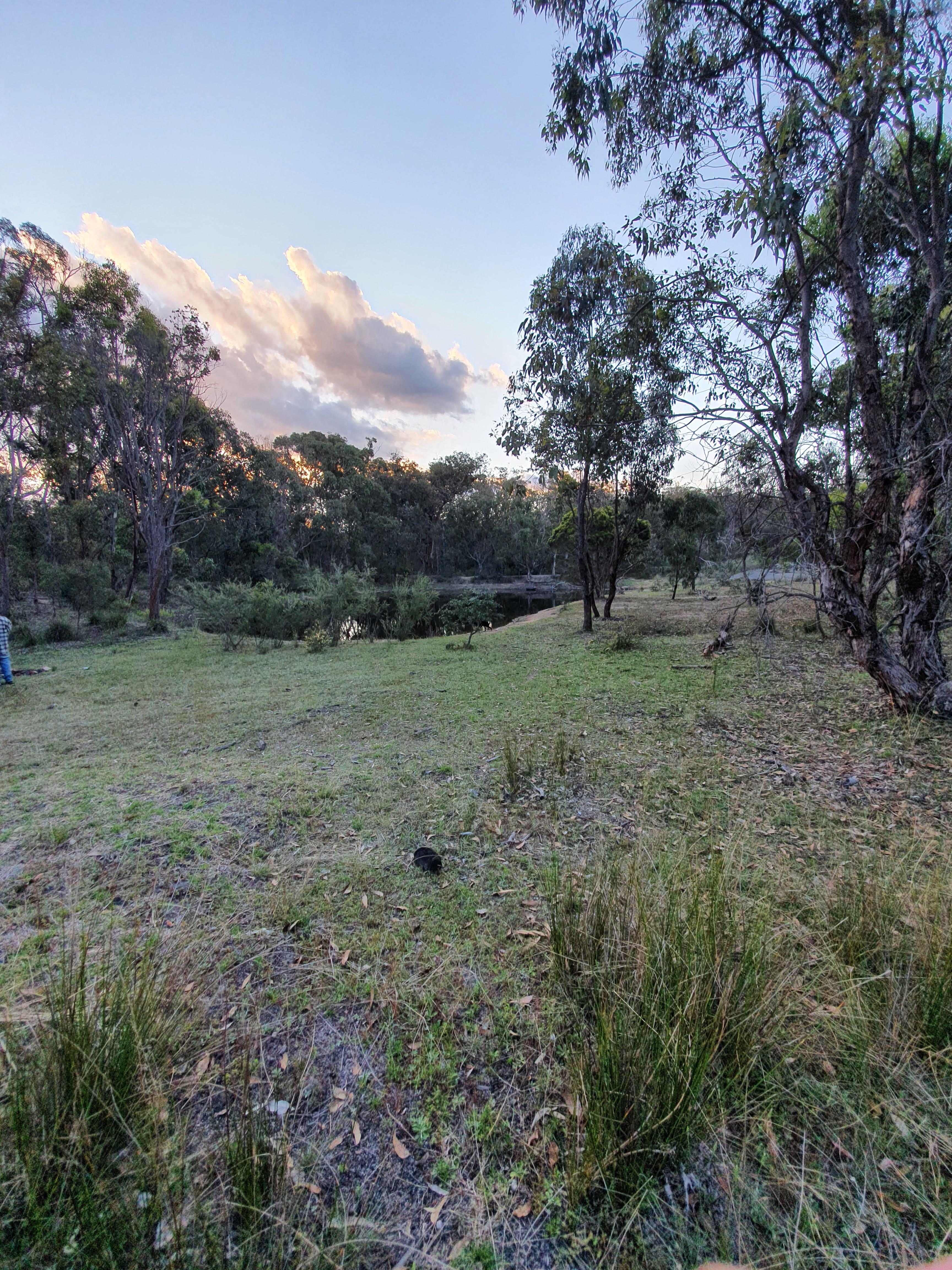 Bush Farm Camp by the Dam