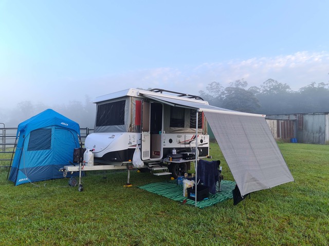 Spirit of the Forest