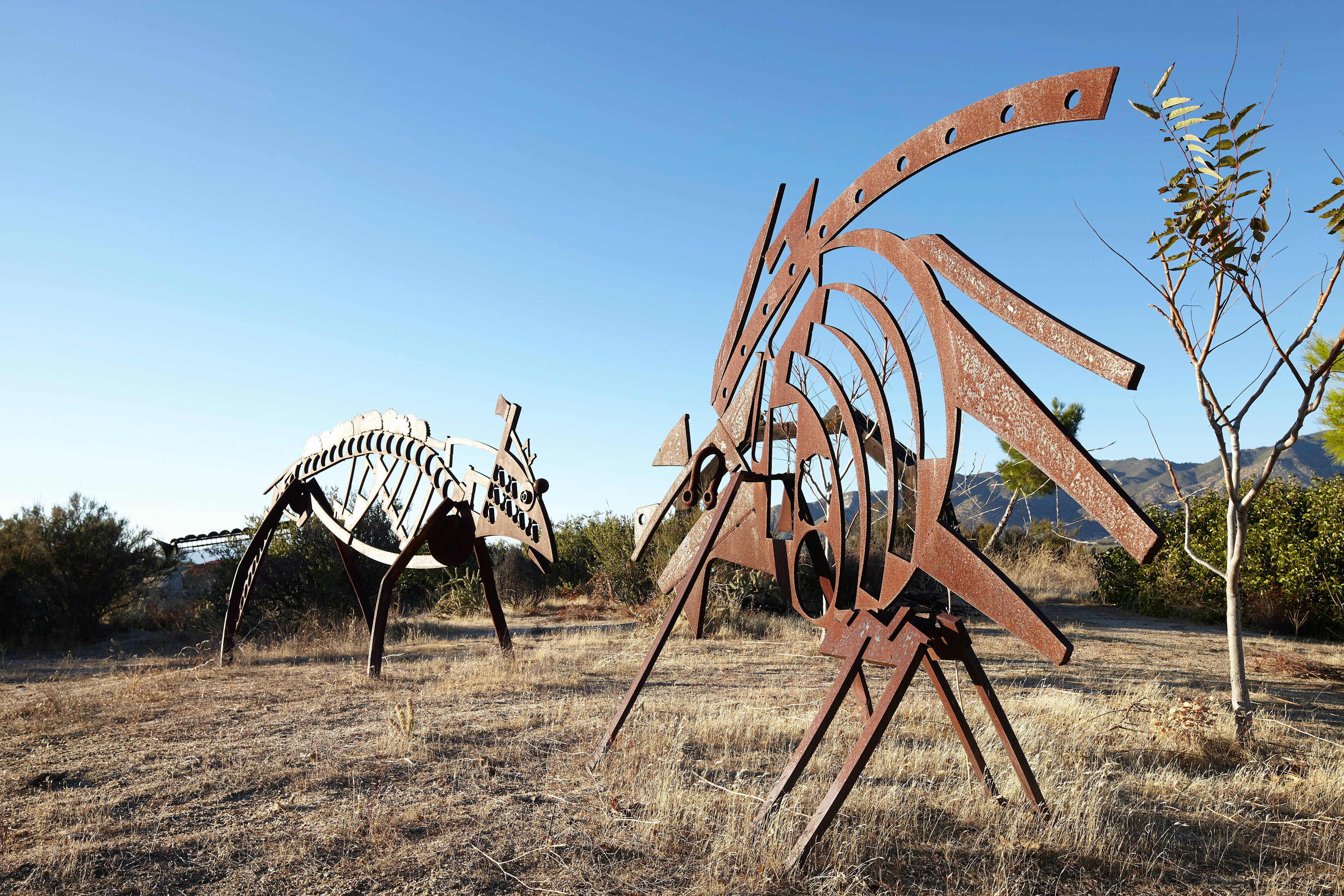 Clara Vista High Desert Retreat